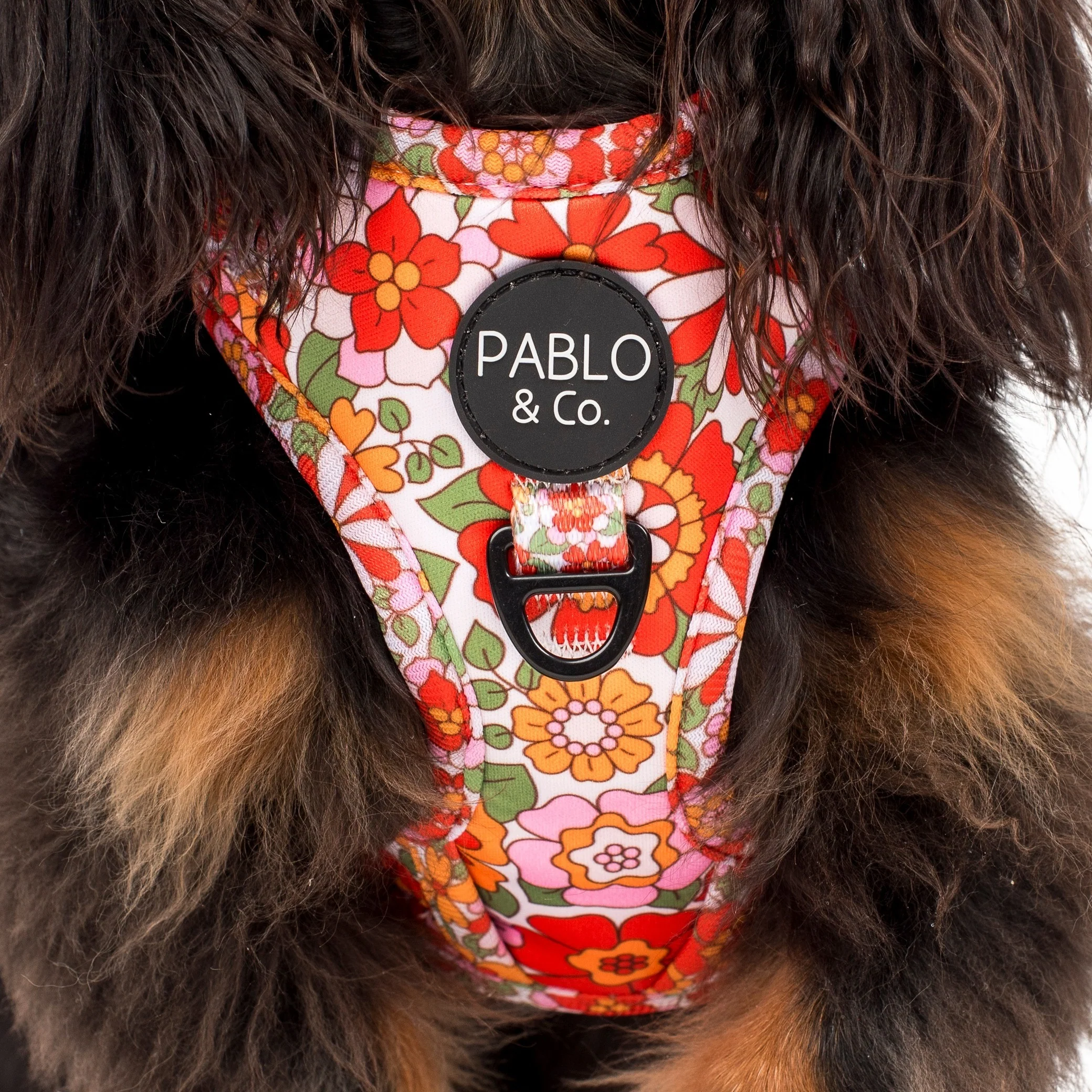 Flowers in the Field: Adjustable Harness - Image 4
