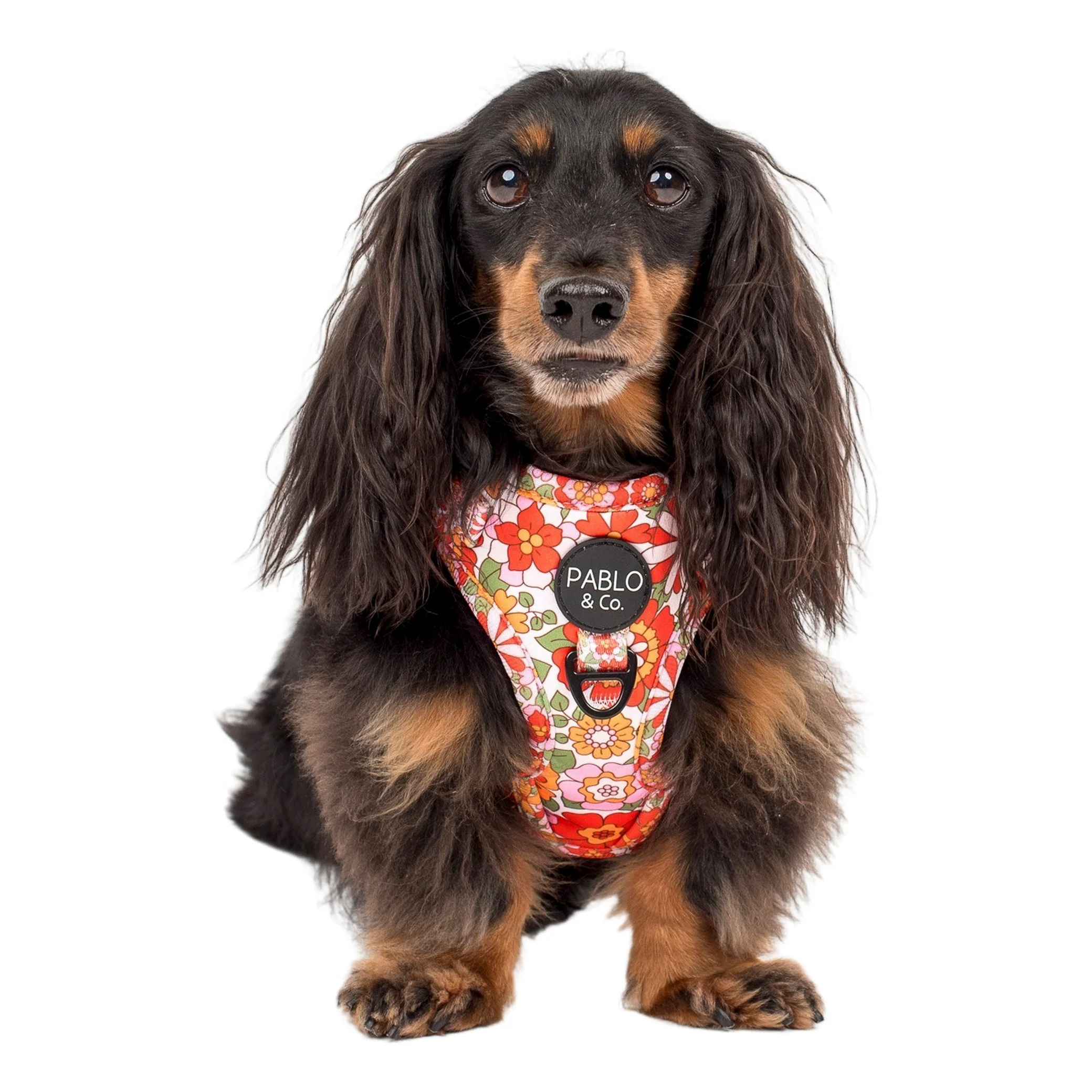 Flowers in the Field: Adjustable Harness - Image 5