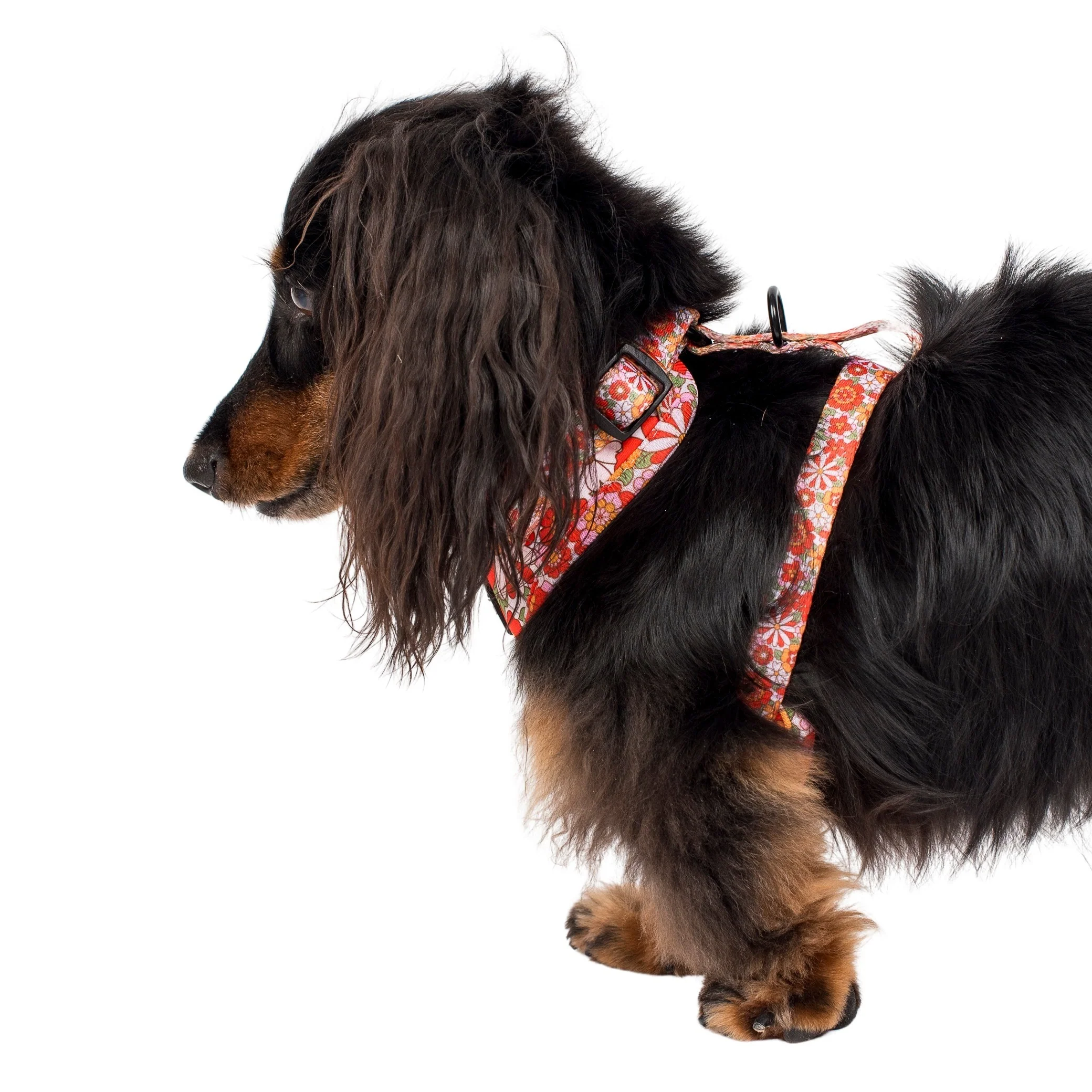 Flowers in the Field: Adjustable Harness - Image 7