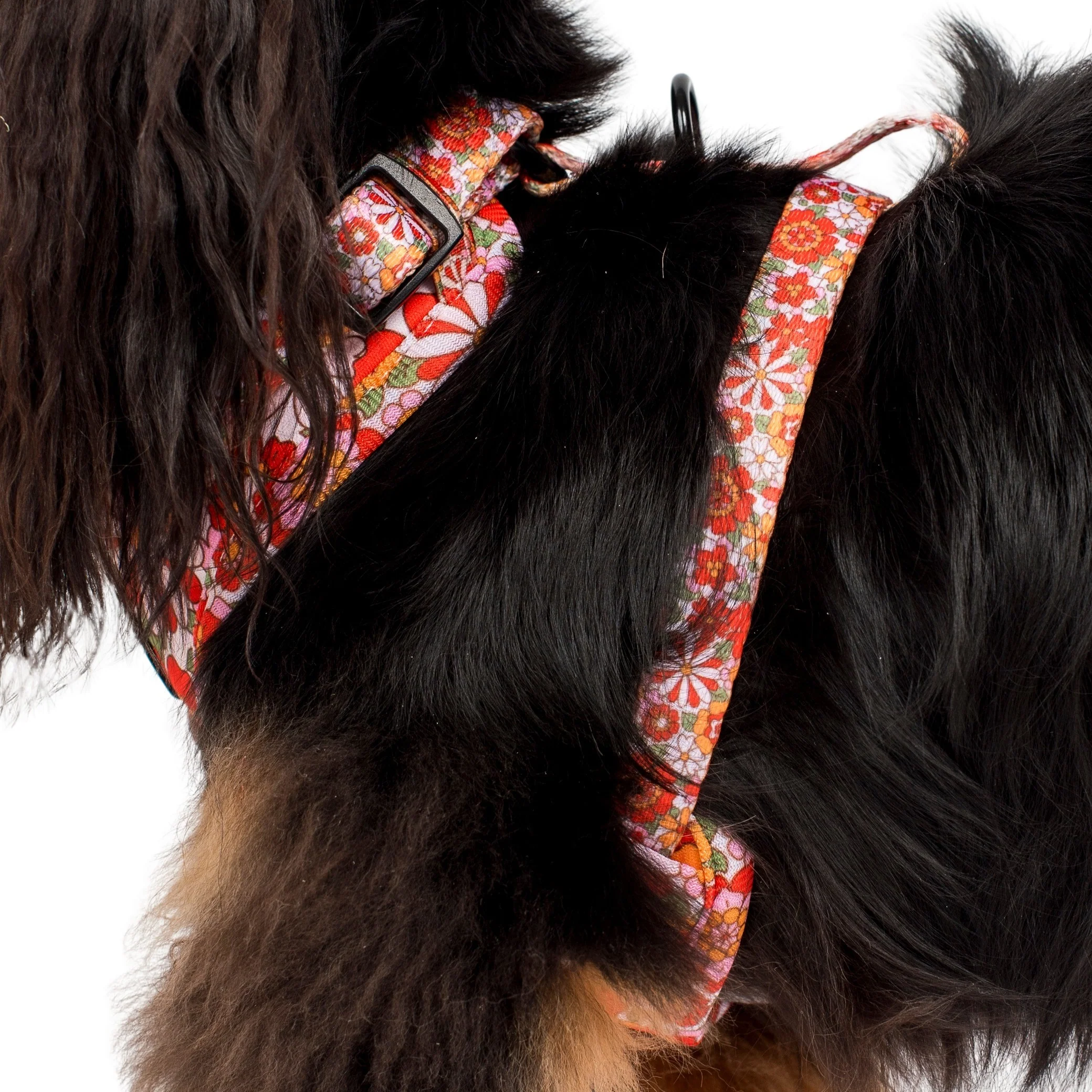 Flowers in the Field: Adjustable Harness - Image 8