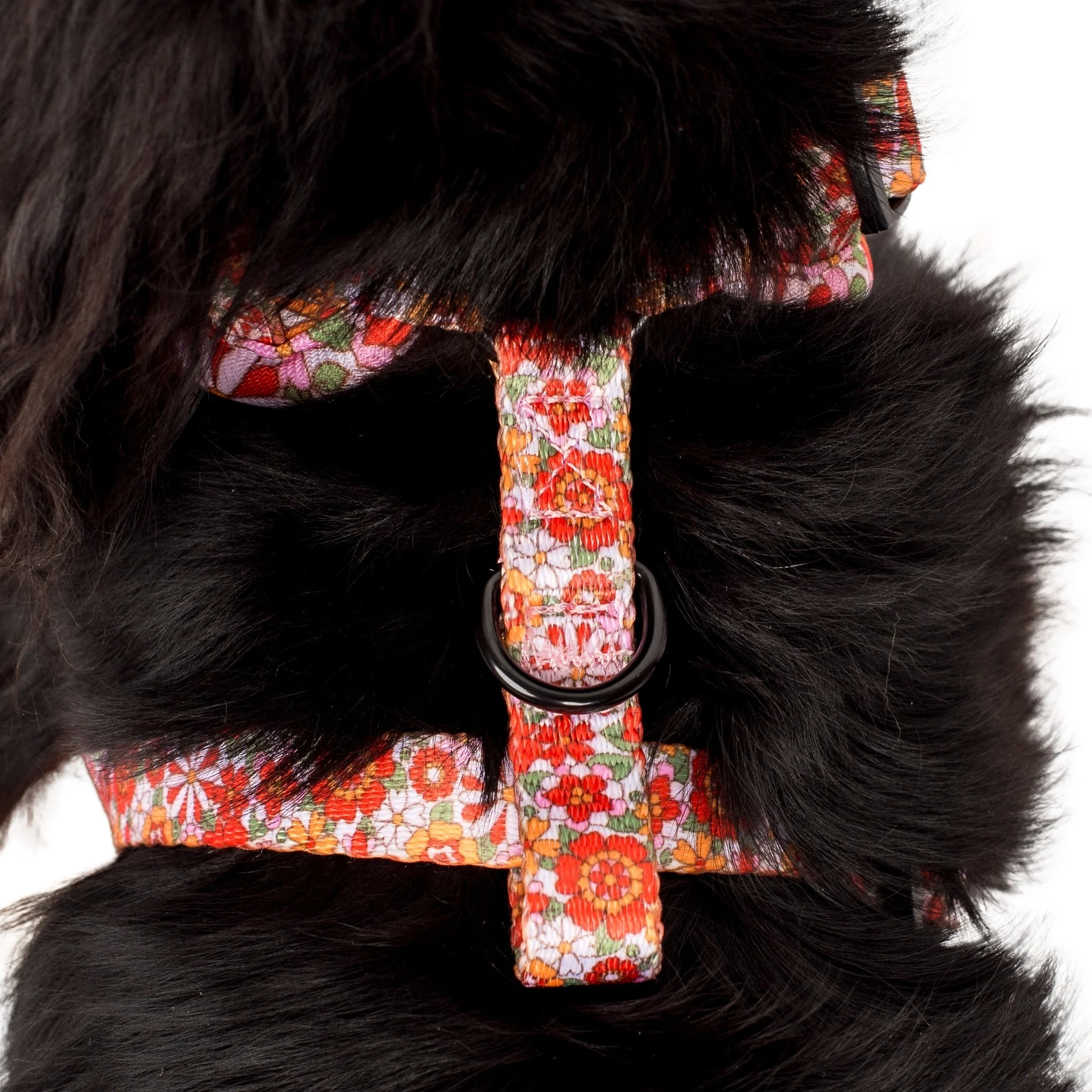 Flowers in the Field: Adjustable Harness - Image 9