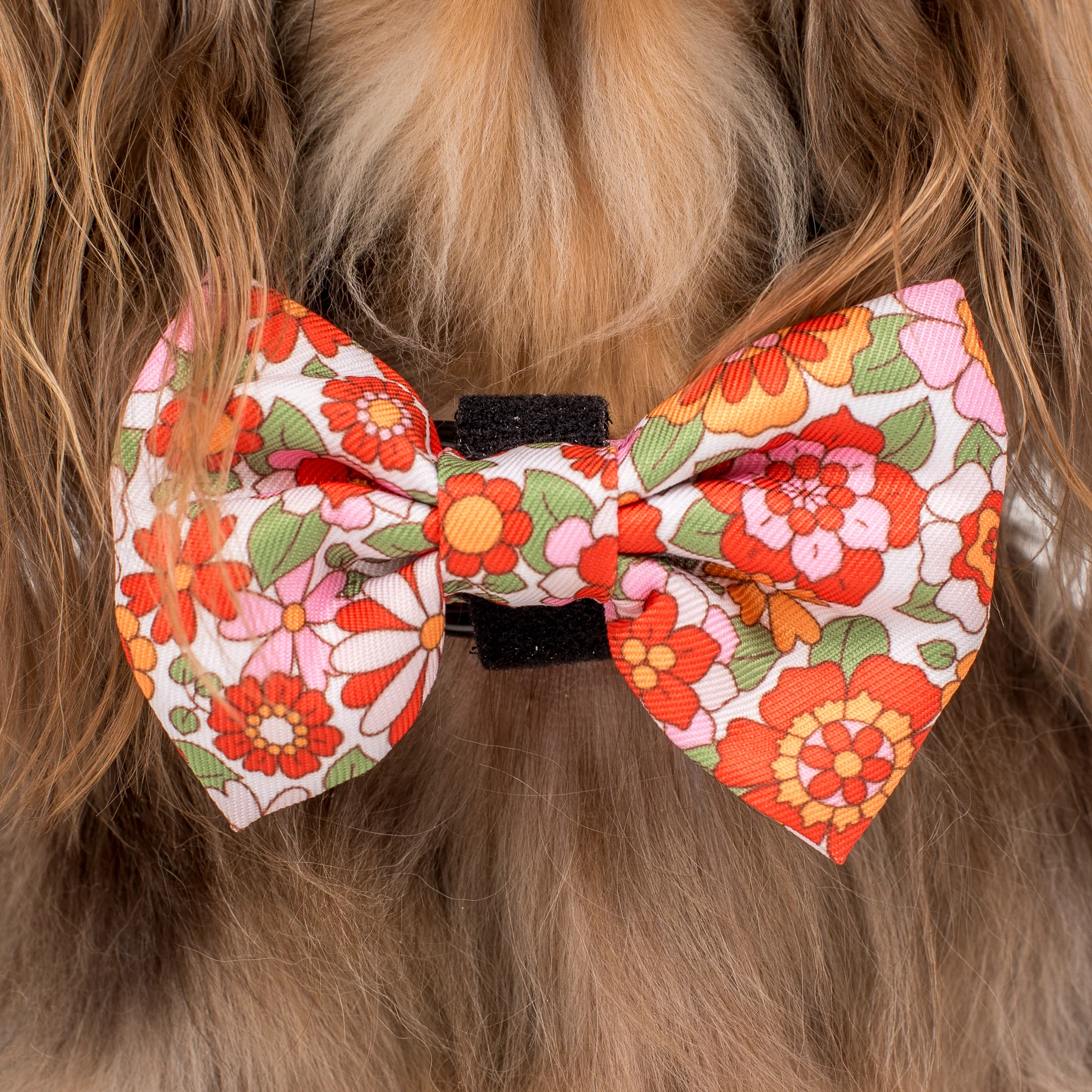 Flowers in the Field: Bow Tie - Image 2