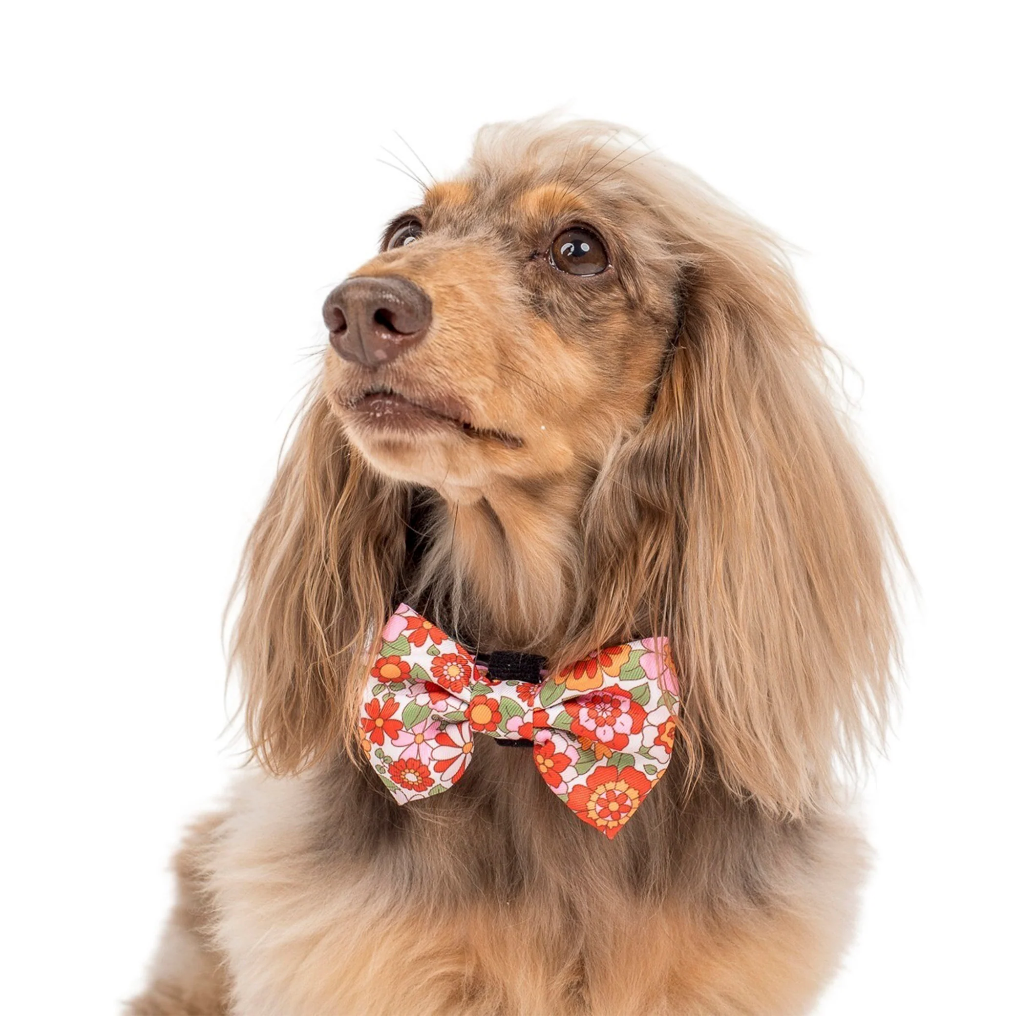 Flowers in the Field: Bow Tie - Image 4