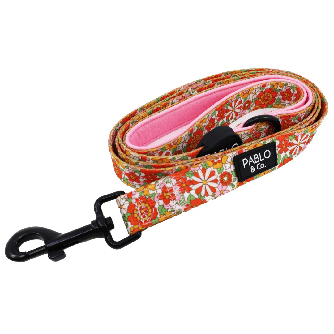 Flowers in the Field: Dog Leash