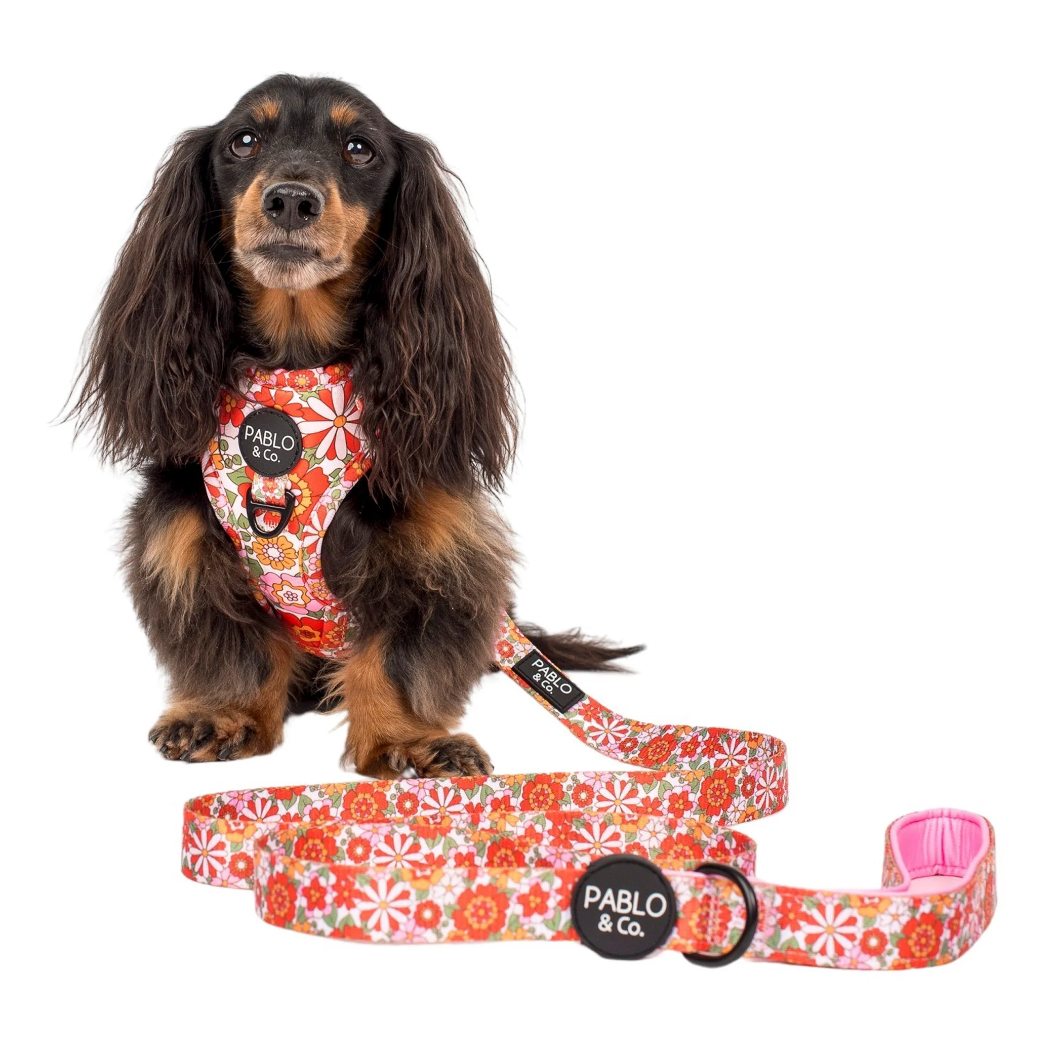 Flowers in the Field: Dog Leash - Image 3