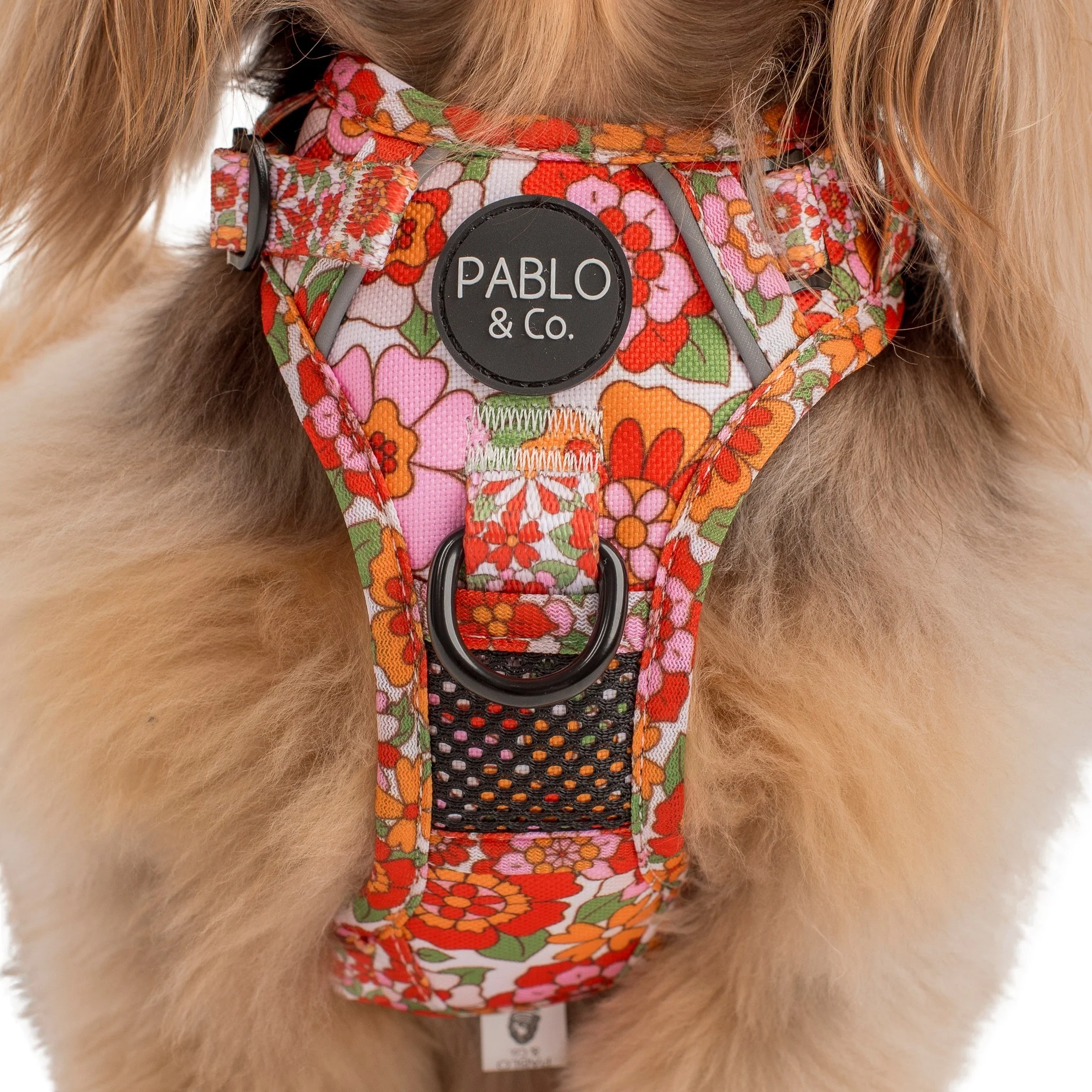 Flowers in the Field: No Pull Adventure Harness - Image 4