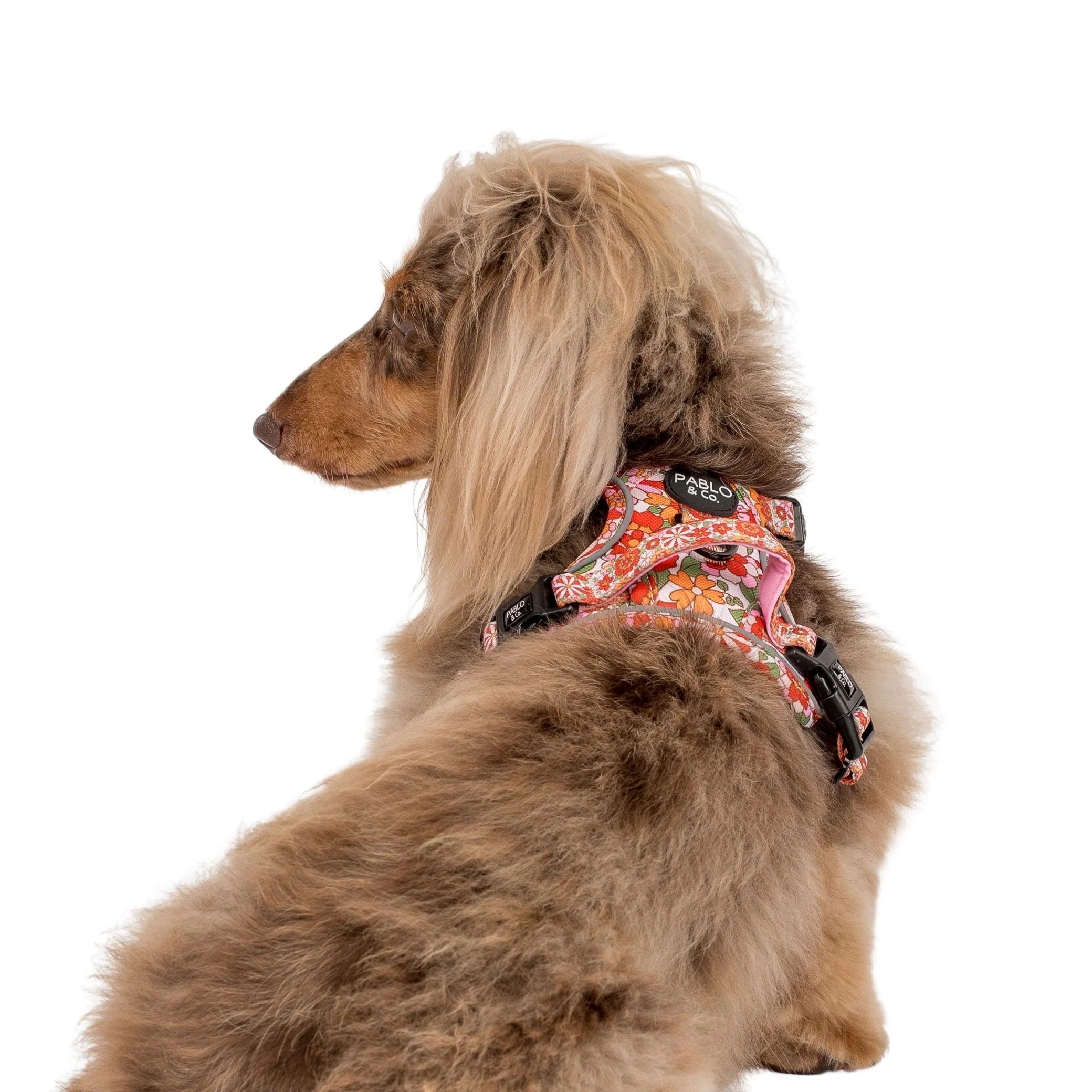 Flowers in the Field: No Pull Adventure Harness - Image 6