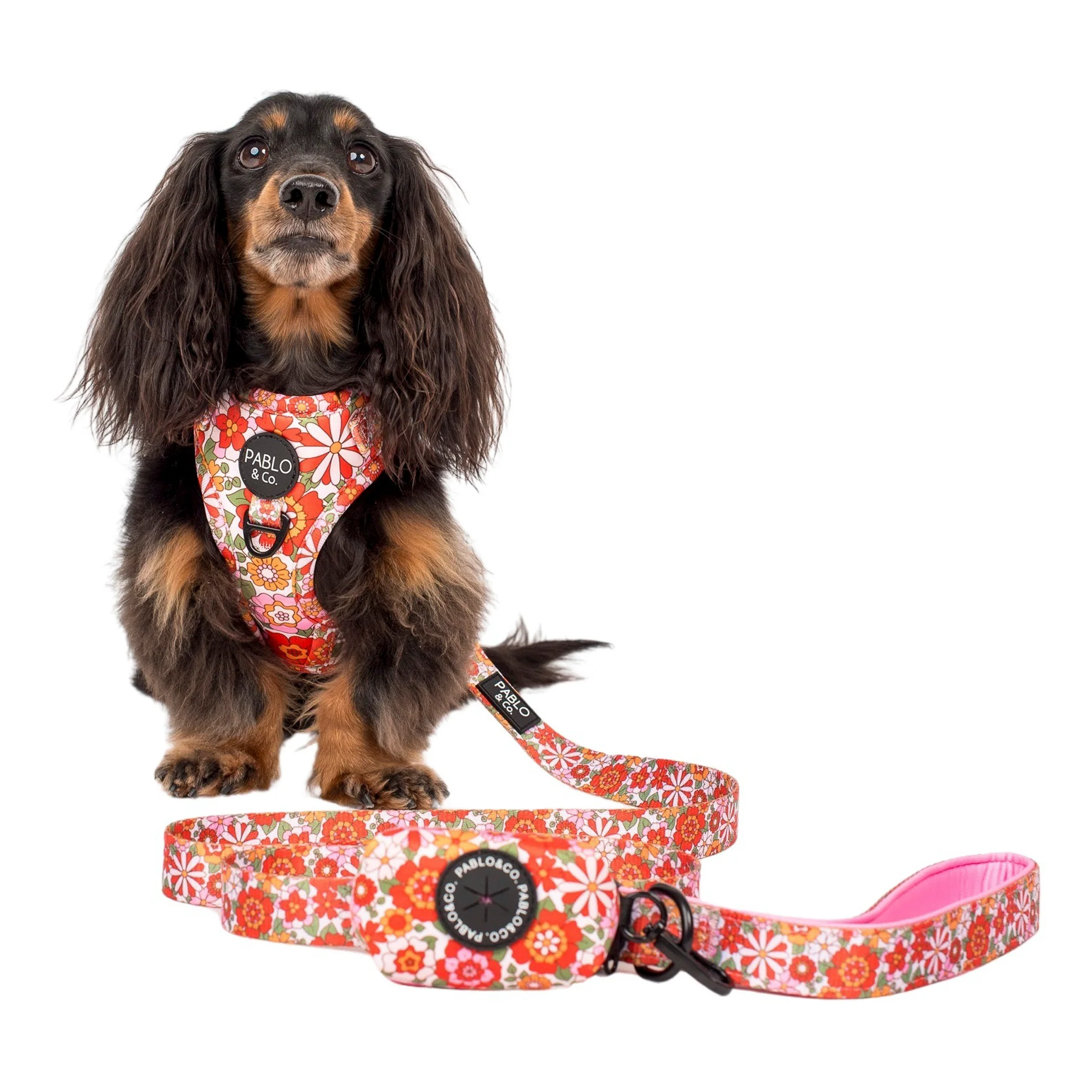 Flowers in the Field - Poop Bag Holder - Image 3