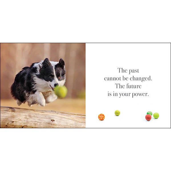 Flying Dogs Book - Image 3