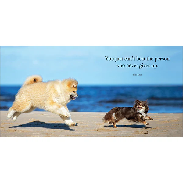 Flying Dogs Book - Image 4