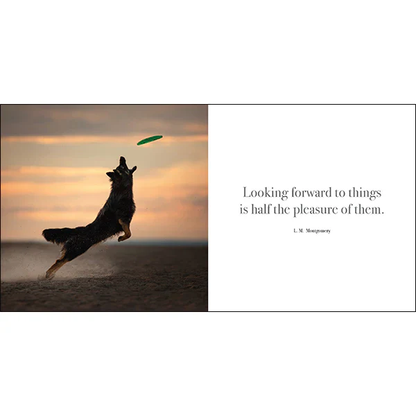Flying Dogs Book - Image 5