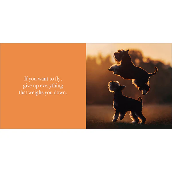 Flying Dogs Book - Image 6