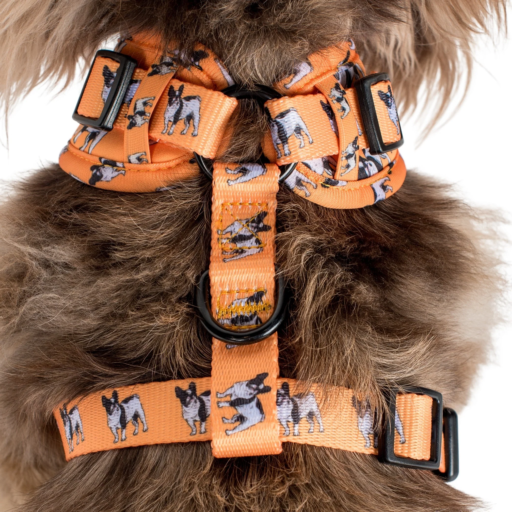 French Bulldog: Adjustable Harness - Image 10
