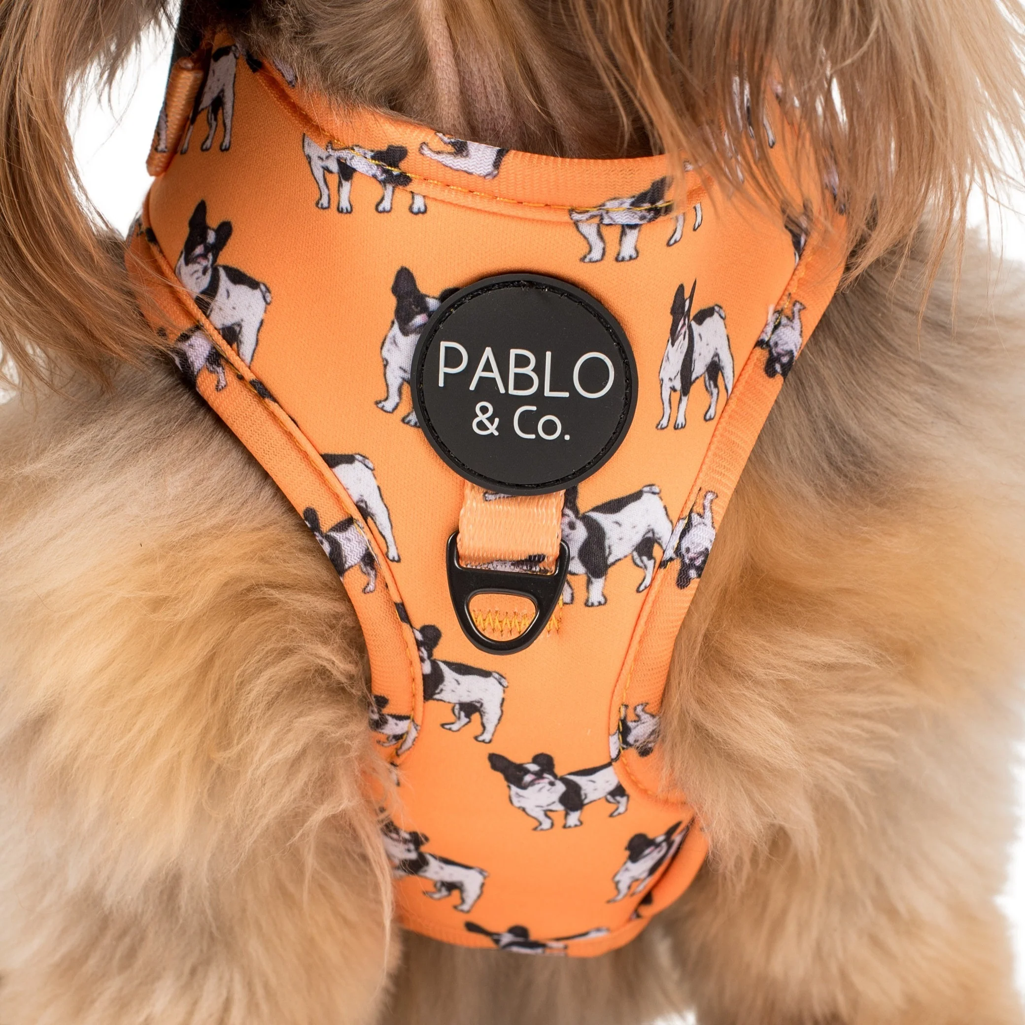 French Bulldog: Adjustable Harness - Image 8