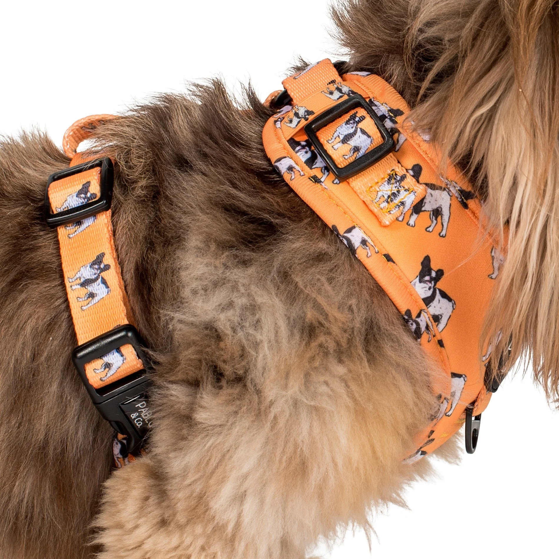 French Bulldog: Adjustable Harness - Image 9