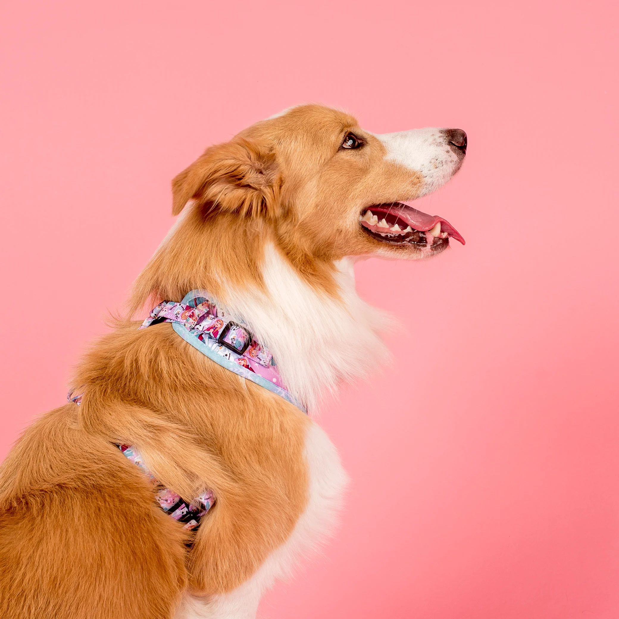 Frozen: Adjustable Harness - Image 3