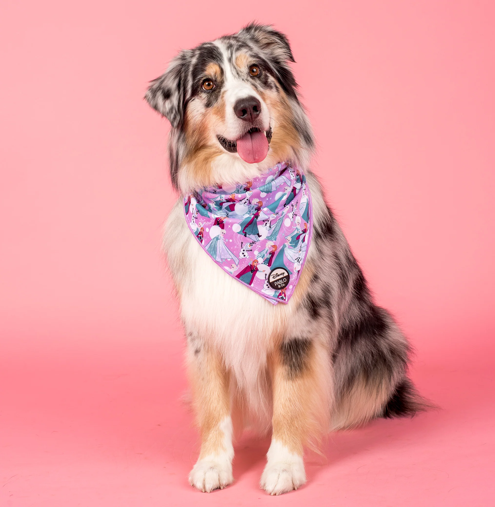 Frozen: Dog Bandana - Image 3