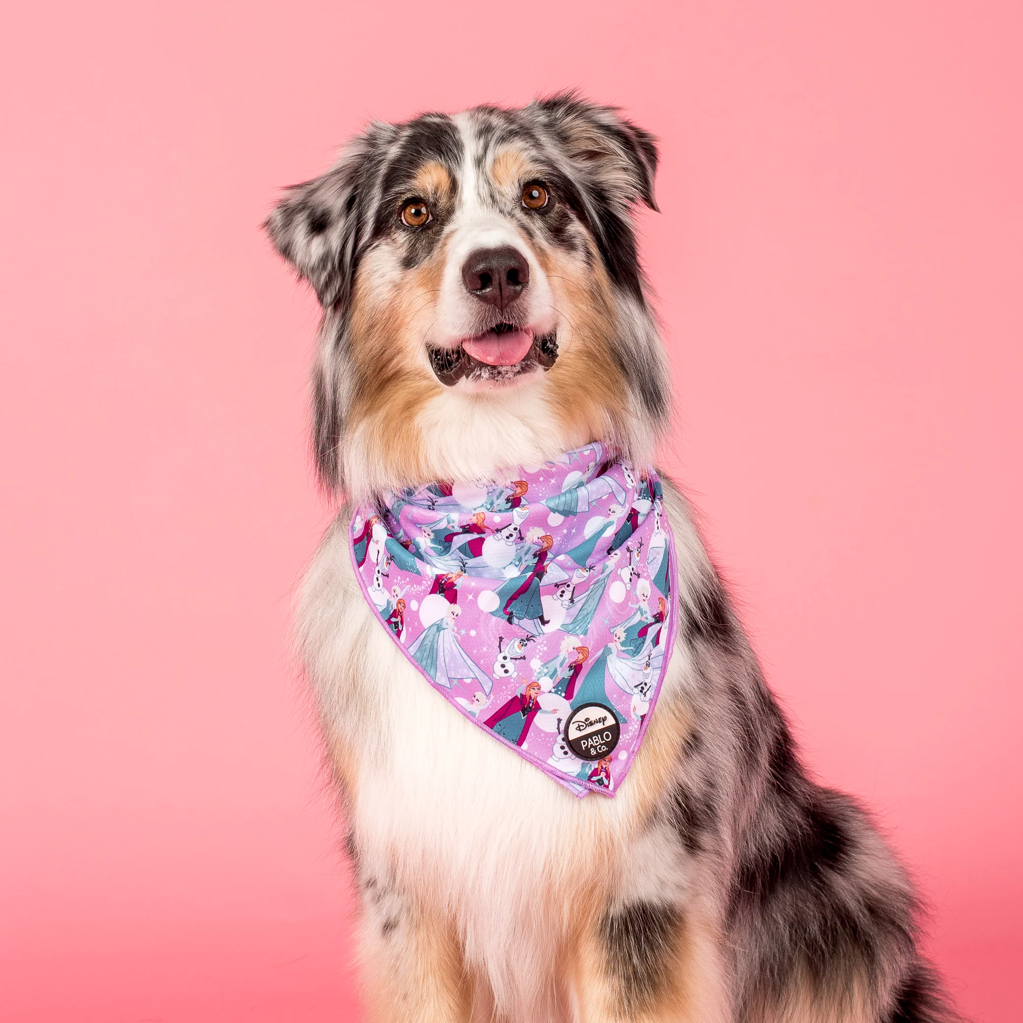 Frozen: Dog Bandana - Image 4
