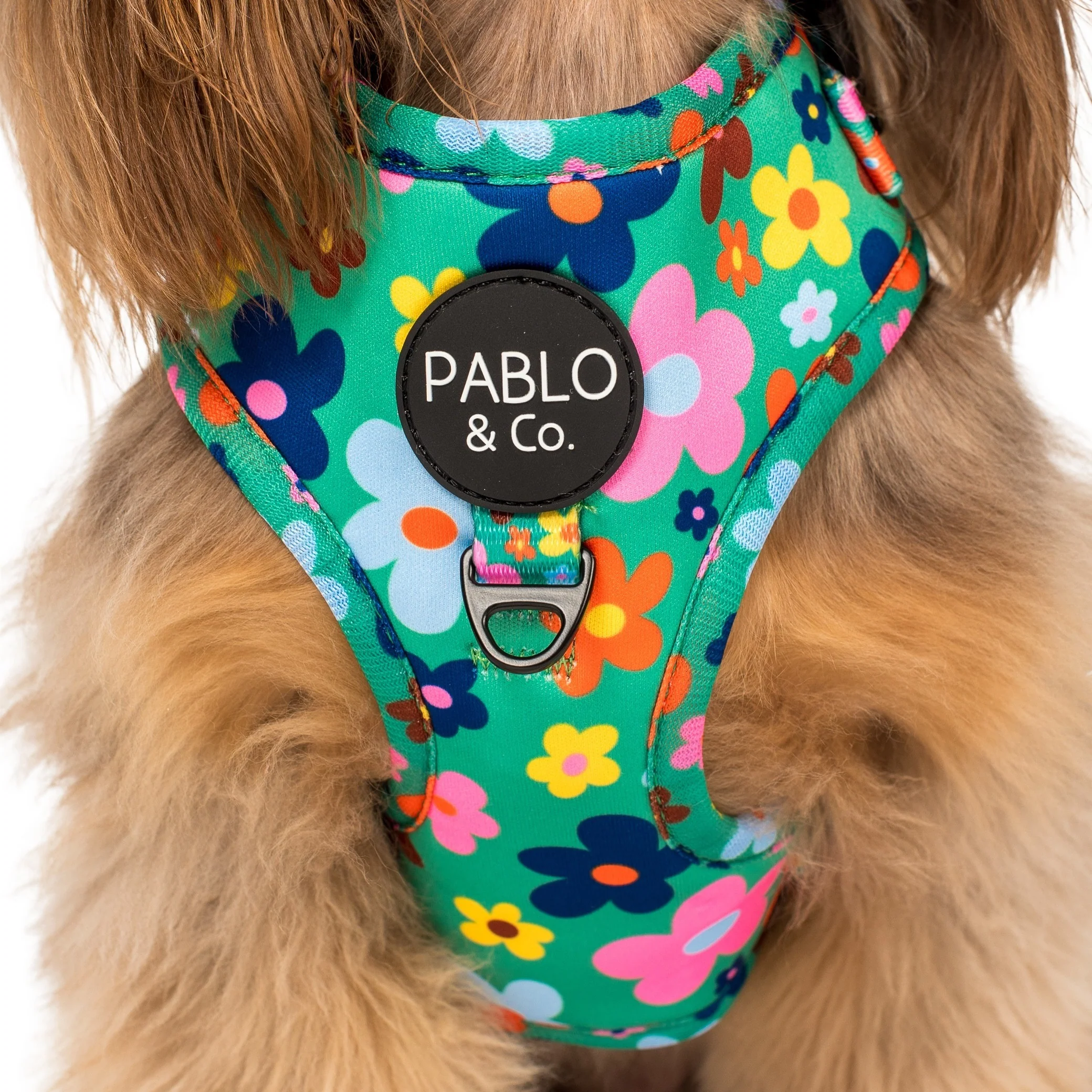 Funky Flowers: Adjustable Harness - Image 2