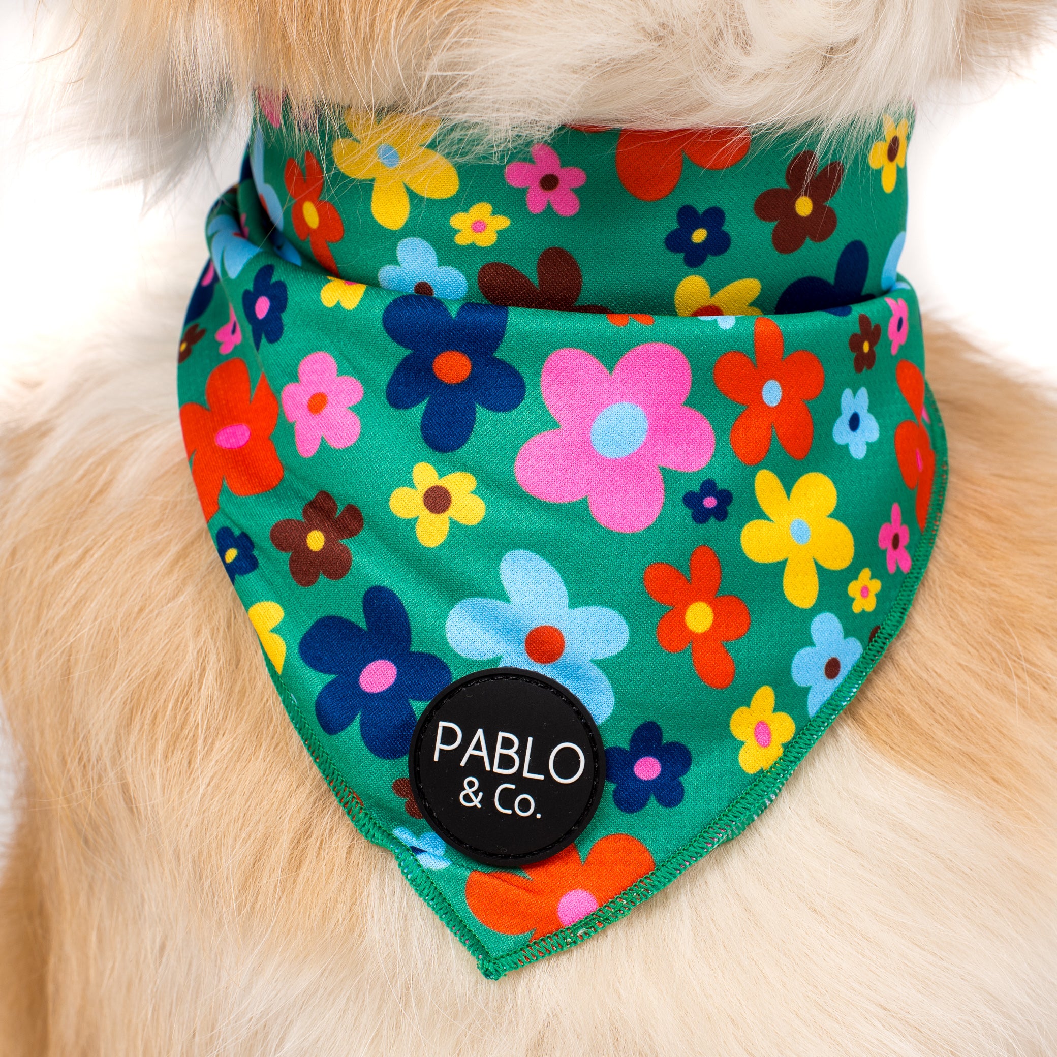 Funky Flowers - Dog Bandana - Image 2