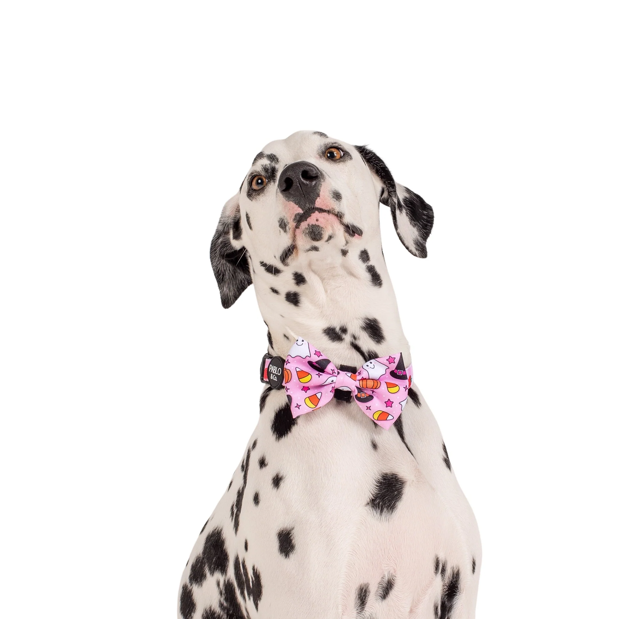 Glitter & Ghosts: Bow Tie - Image 2