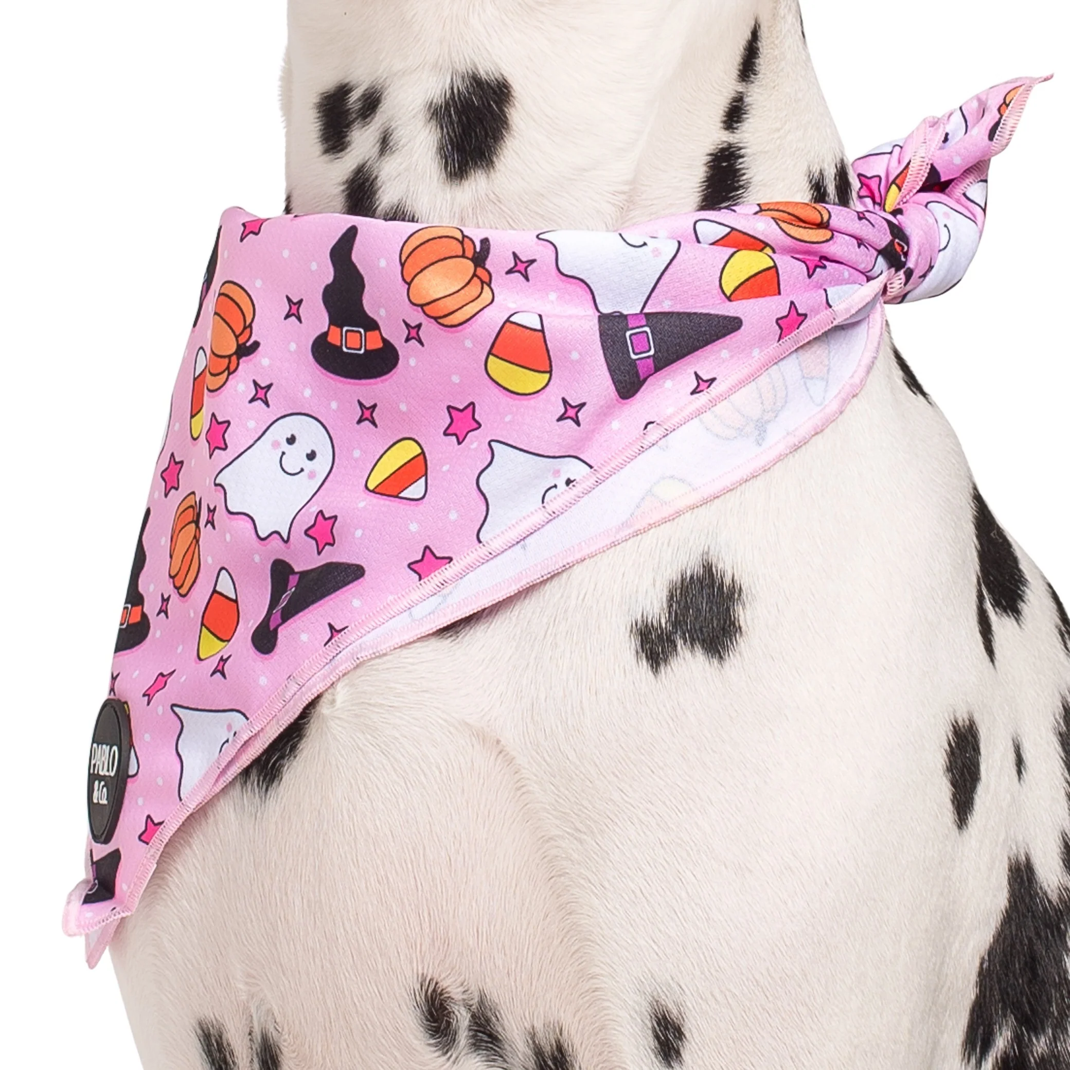 Glitter & Ghosts - Dog Bandana - Image 2