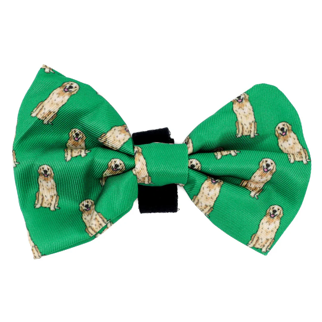 Golden Retriever: Bow Tie