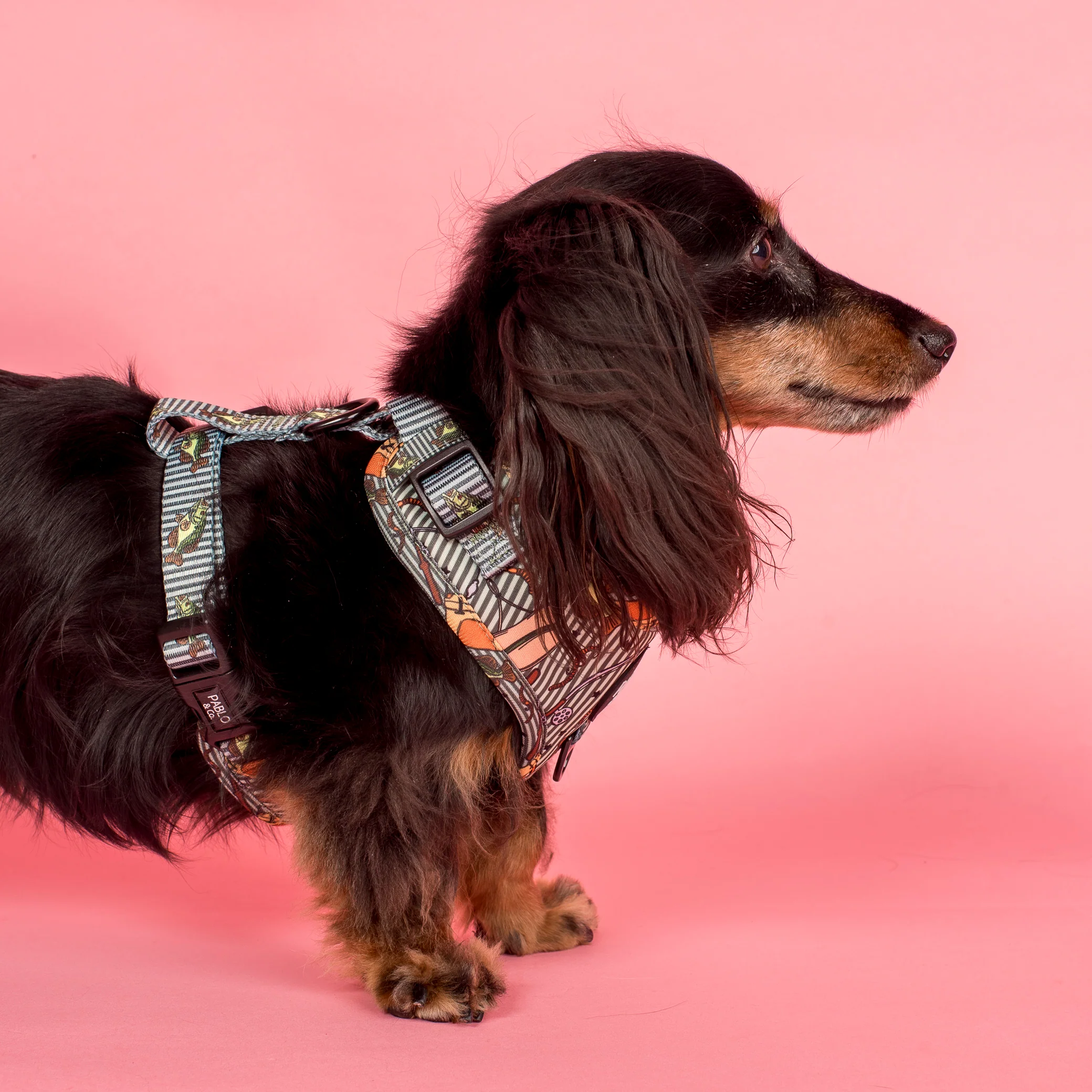 Gone Fishing: Adjustable Harness - Image 3