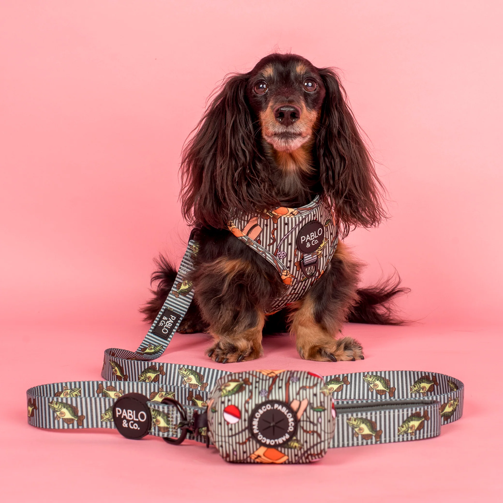 Gone Fishing: Adjustable Harness - Image 4