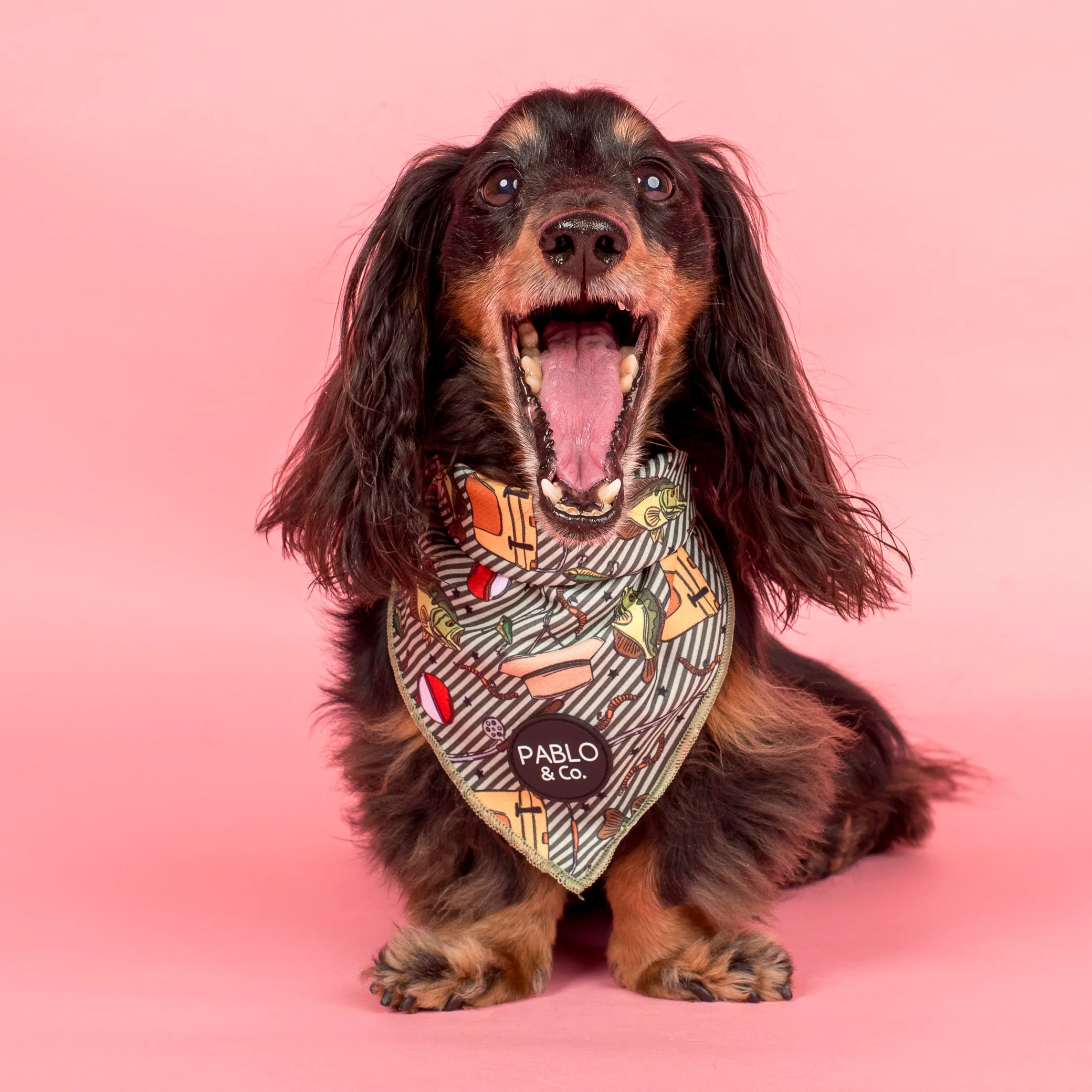 Gone Fishing: Dog Bandana - Image 3