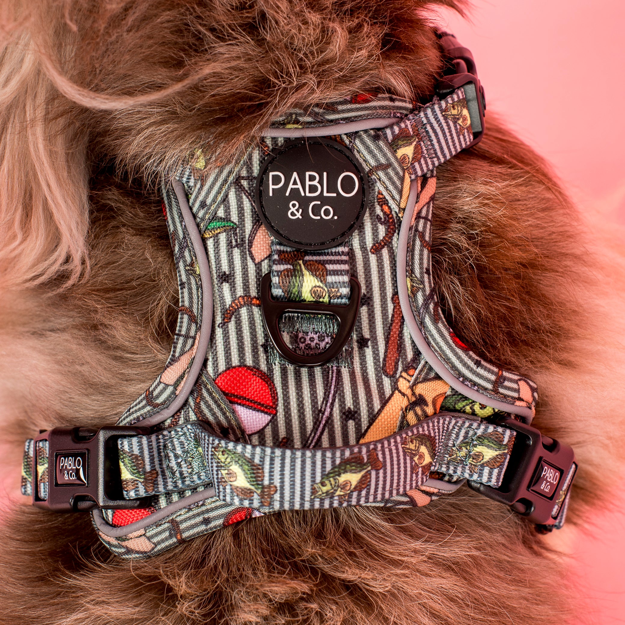 Gone Fishing: No Pull Adventure Harness - Image 3