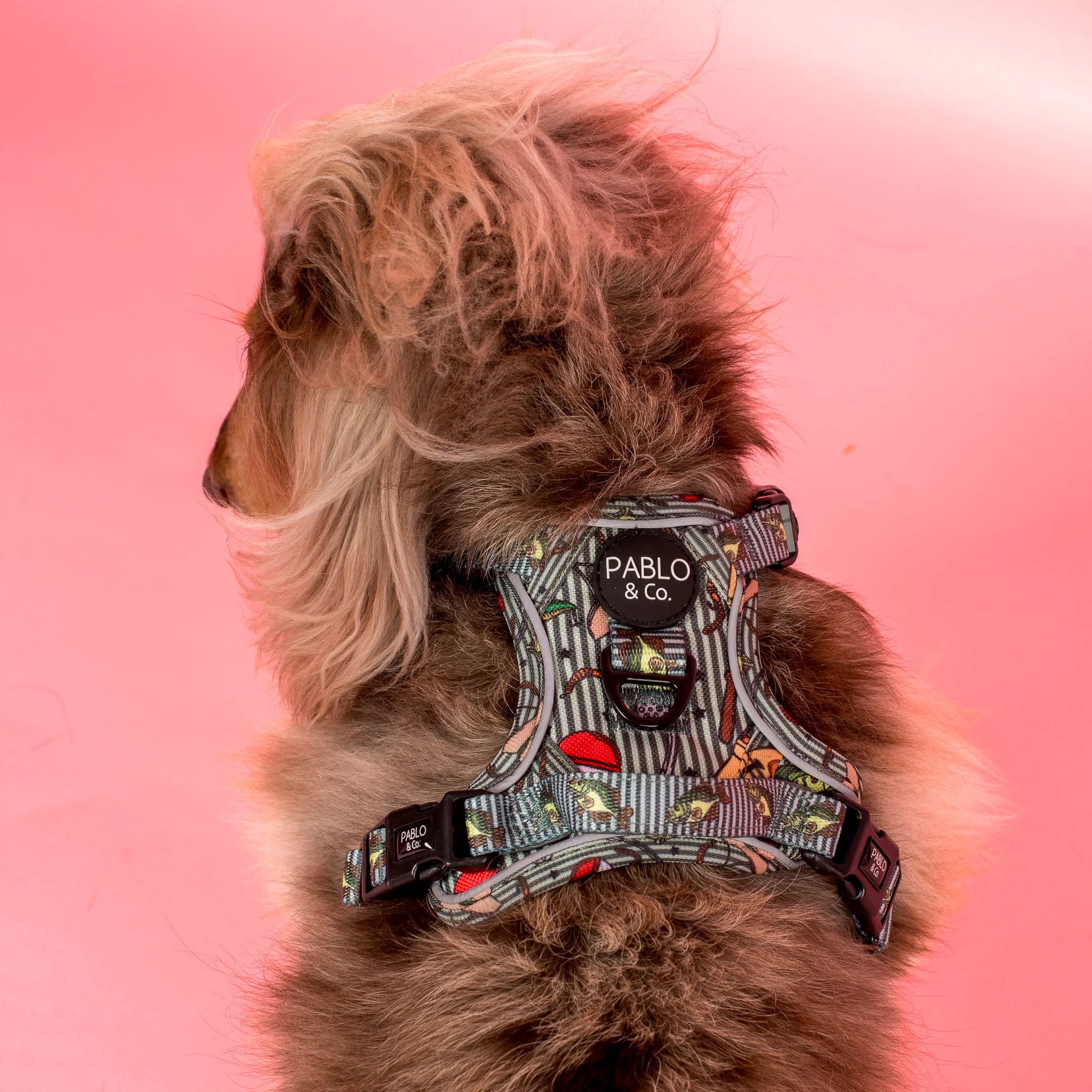 Gone Fishing: No Pull Adventure Harness - Image 5