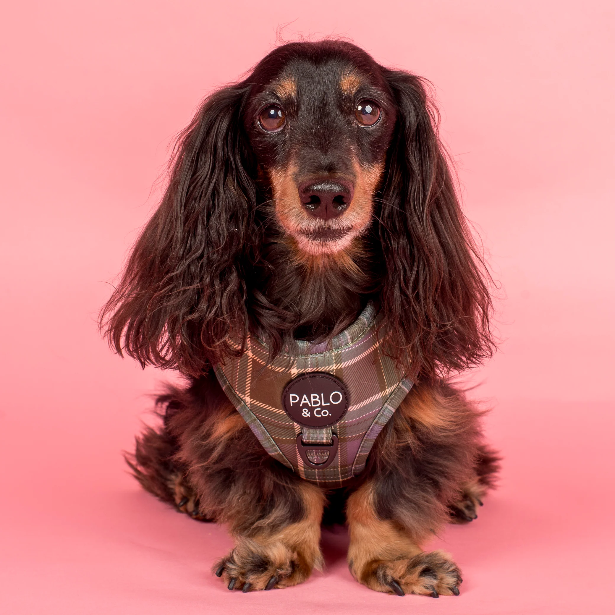Green Plaid: Adjustable Harness
