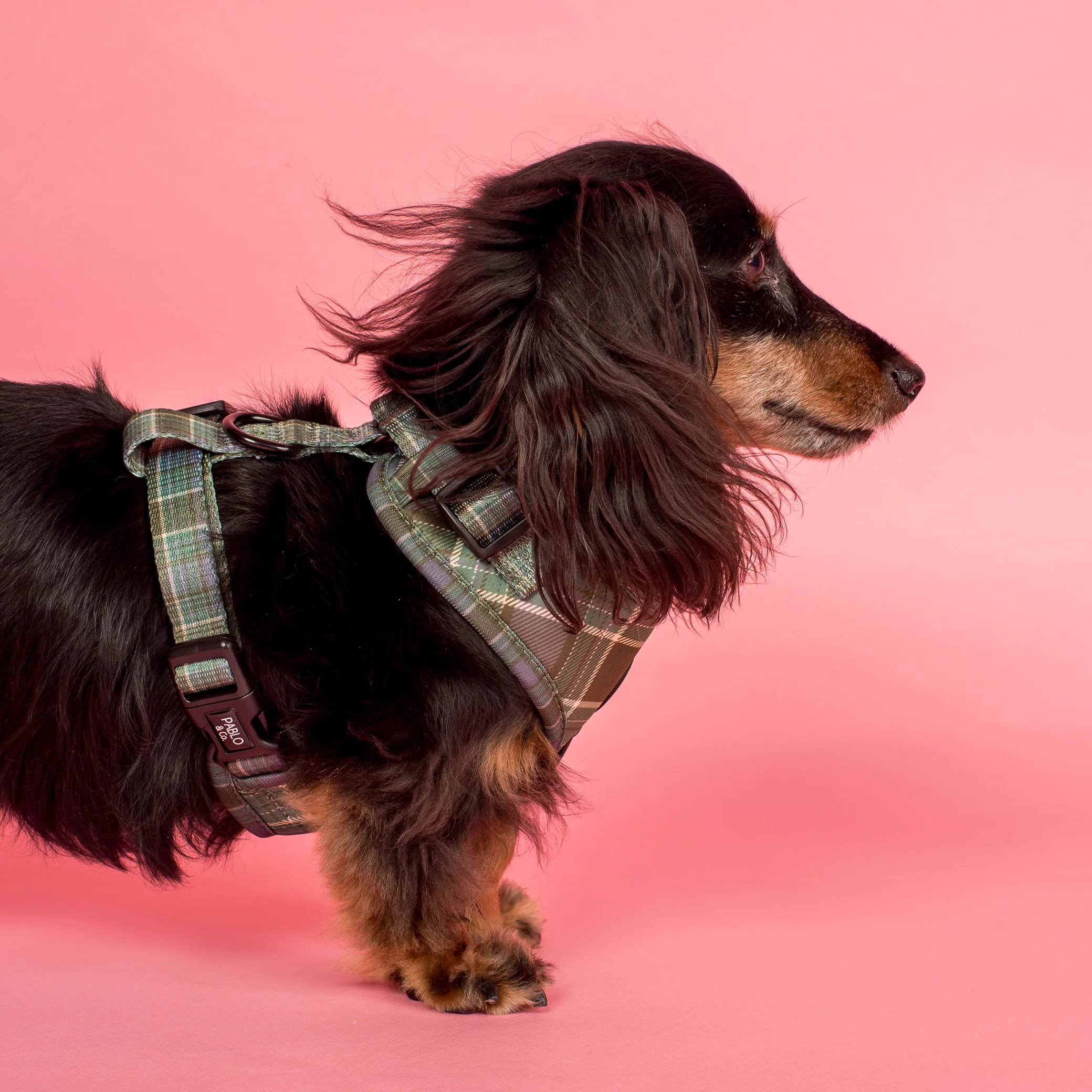 Green Plaid: Adjustable Harness - Image 3