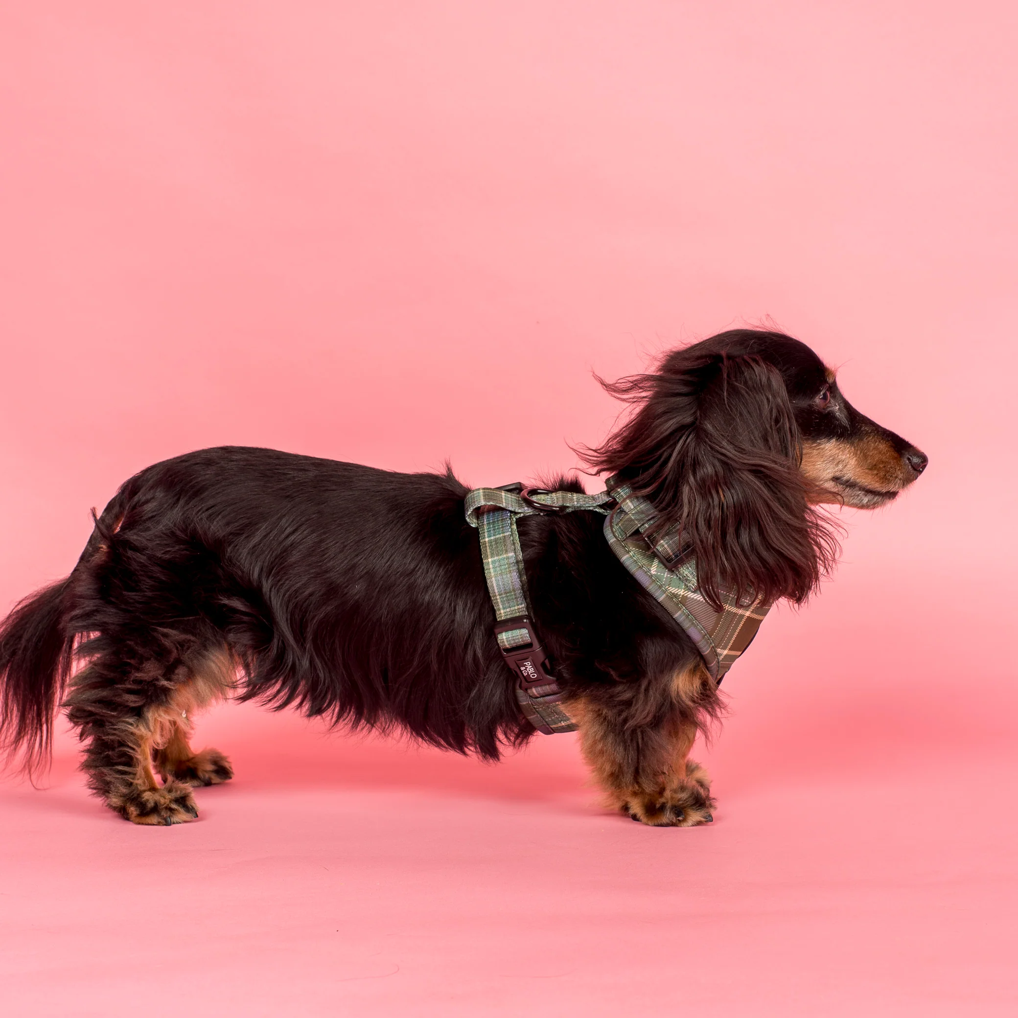 Green Plaid: Adjustable Harness - Image 4