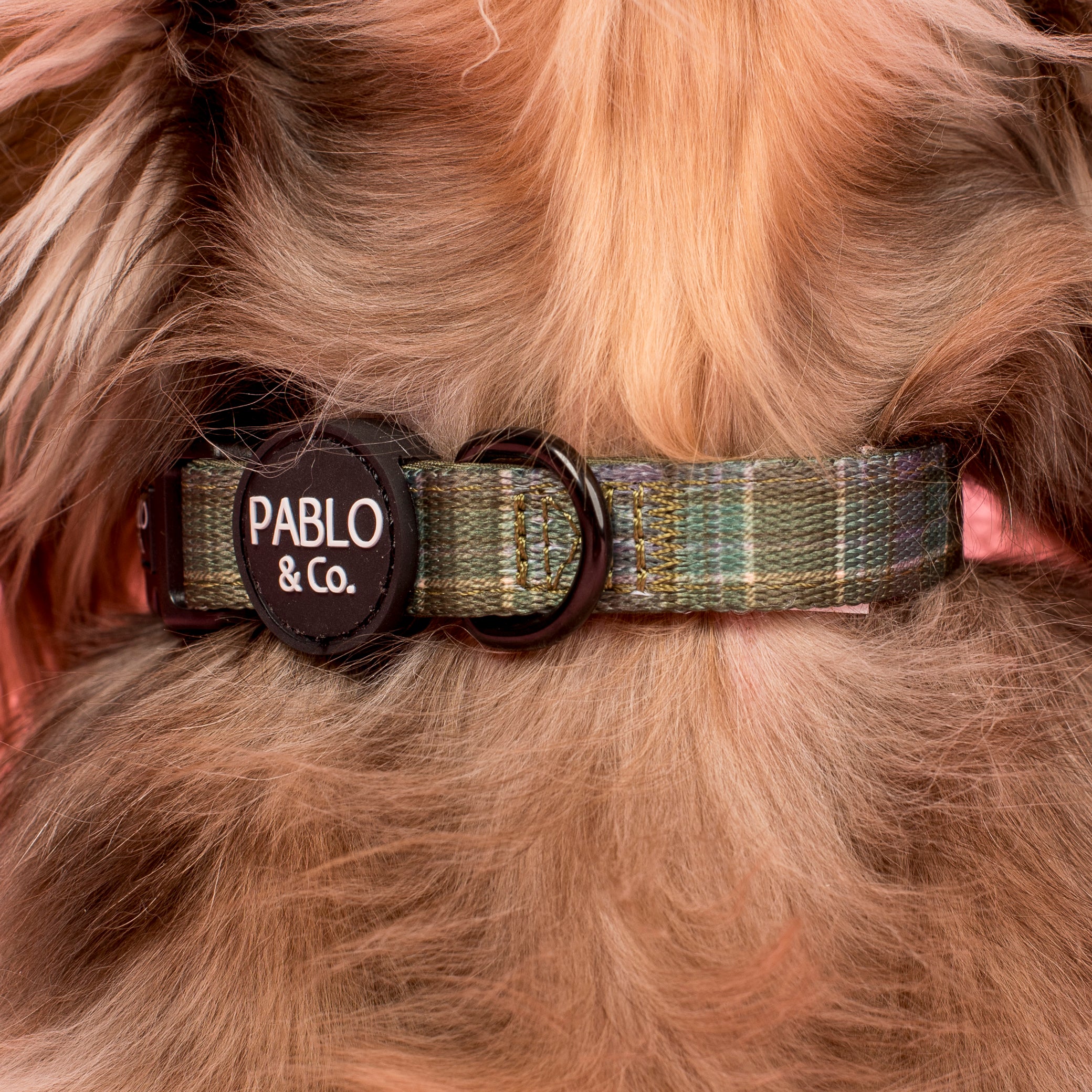 Green Plaid: Collar - Image 2