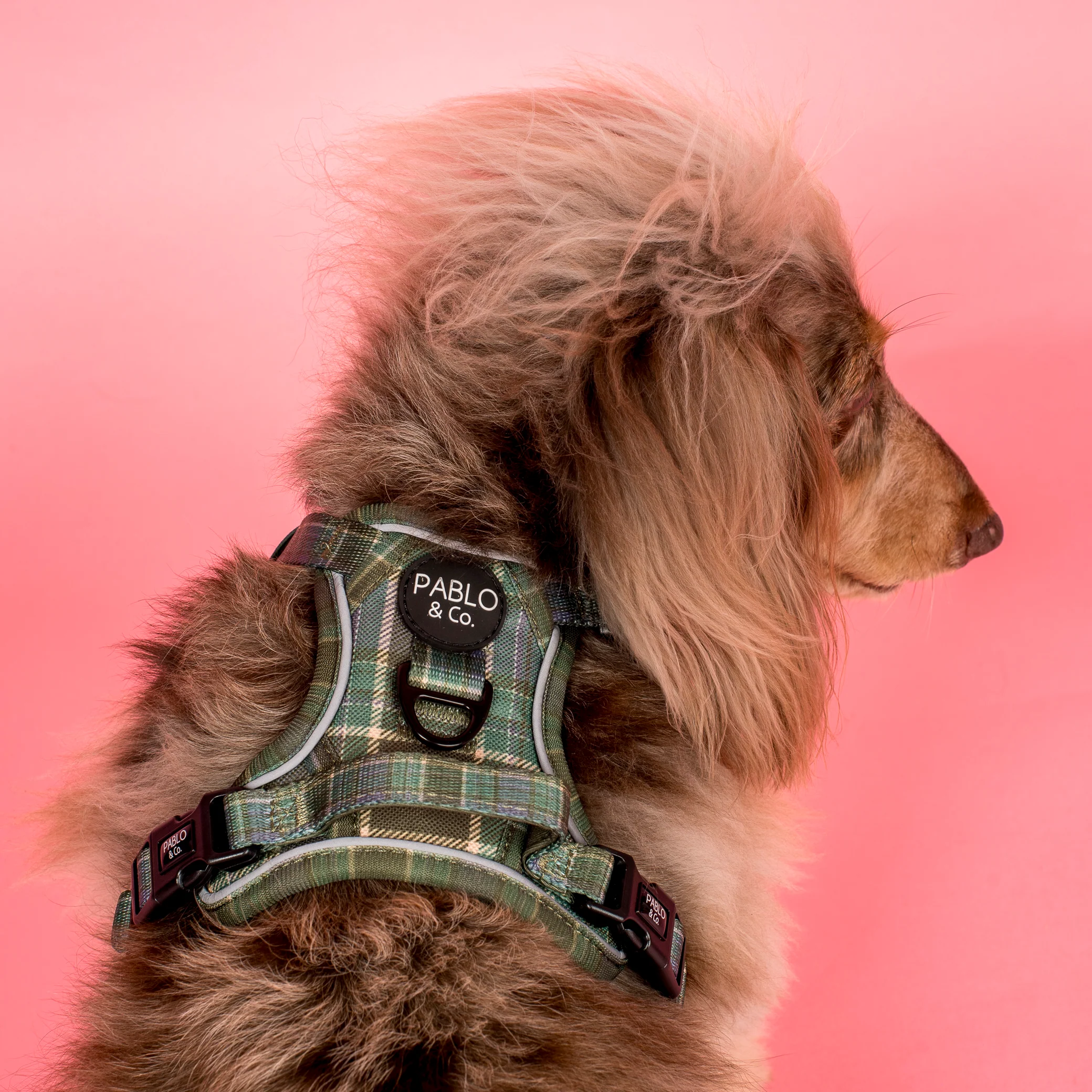 Green Plaid: No Pull Adventure Harness - Image 3