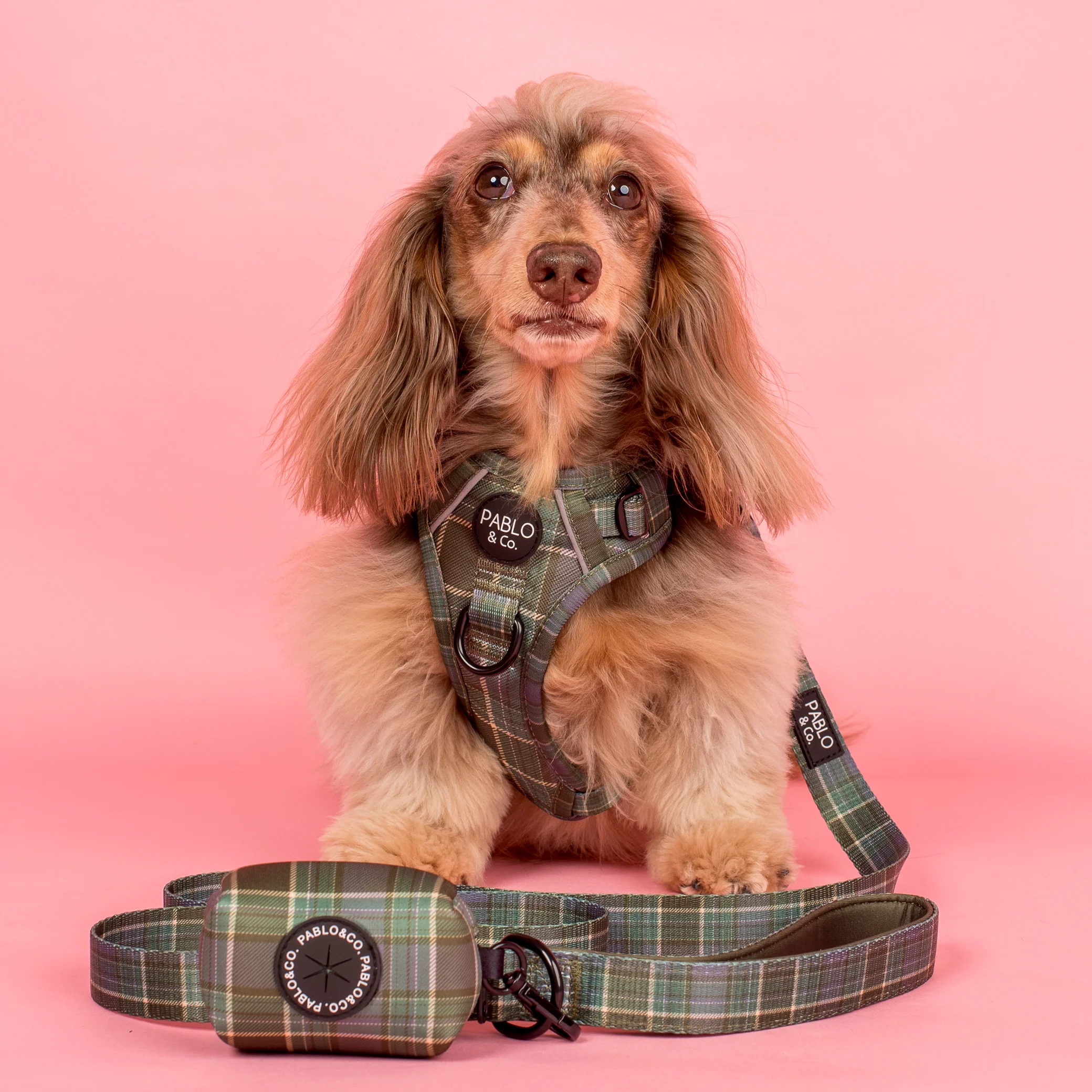Green Plaid: No Pull Adventure Harness - Image 5