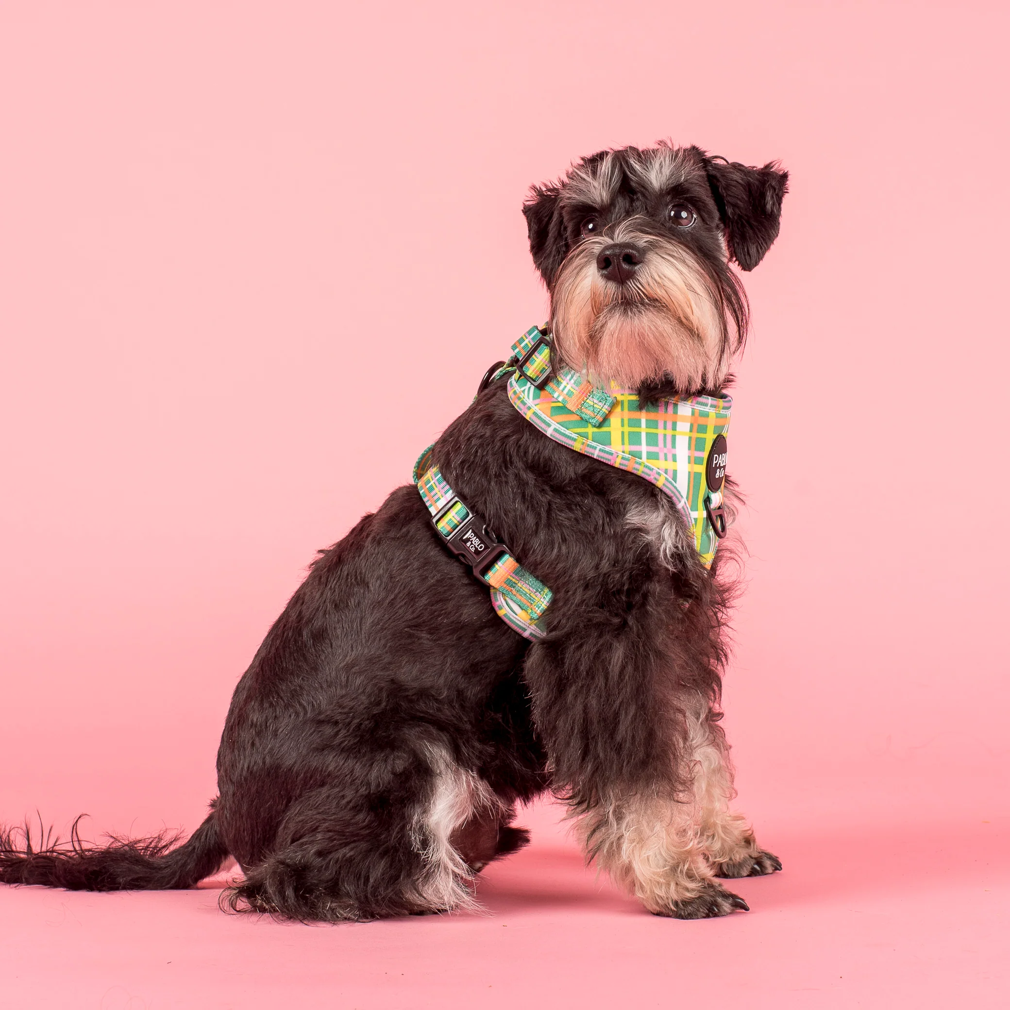 Groovy Grid: Adjustable Harness - Image 2
