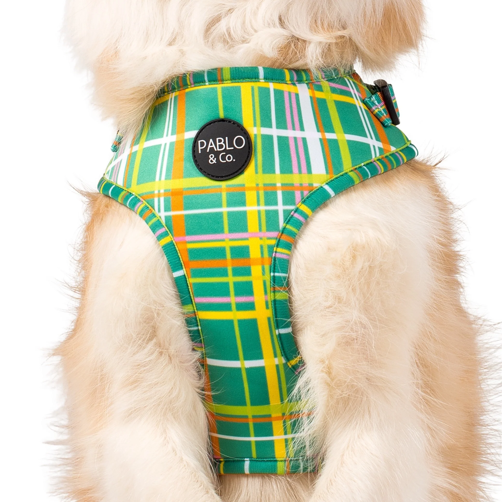 Groovy Grid: Adjustable Harness - Image 4