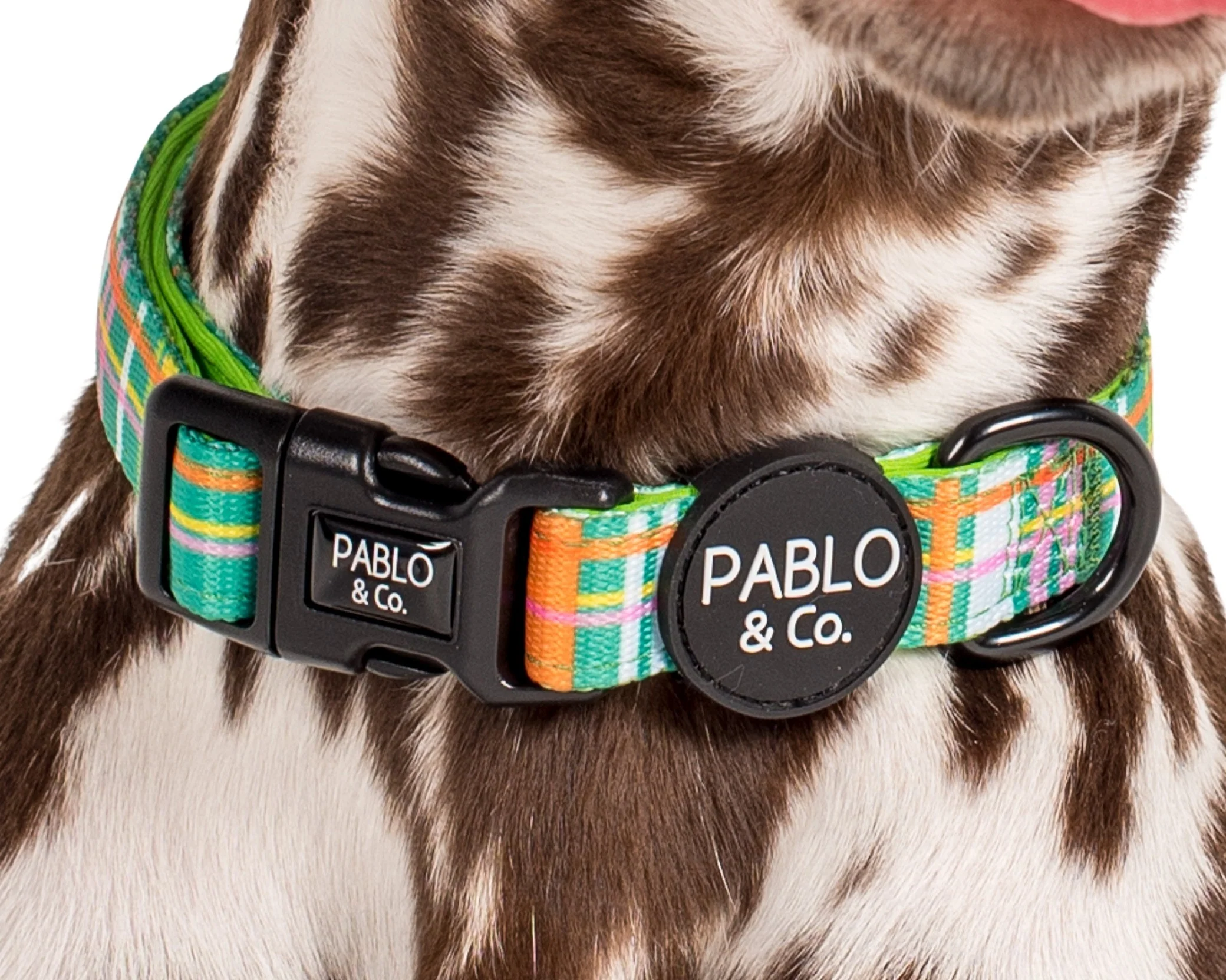 Groovy Grid: Collar - Image 2