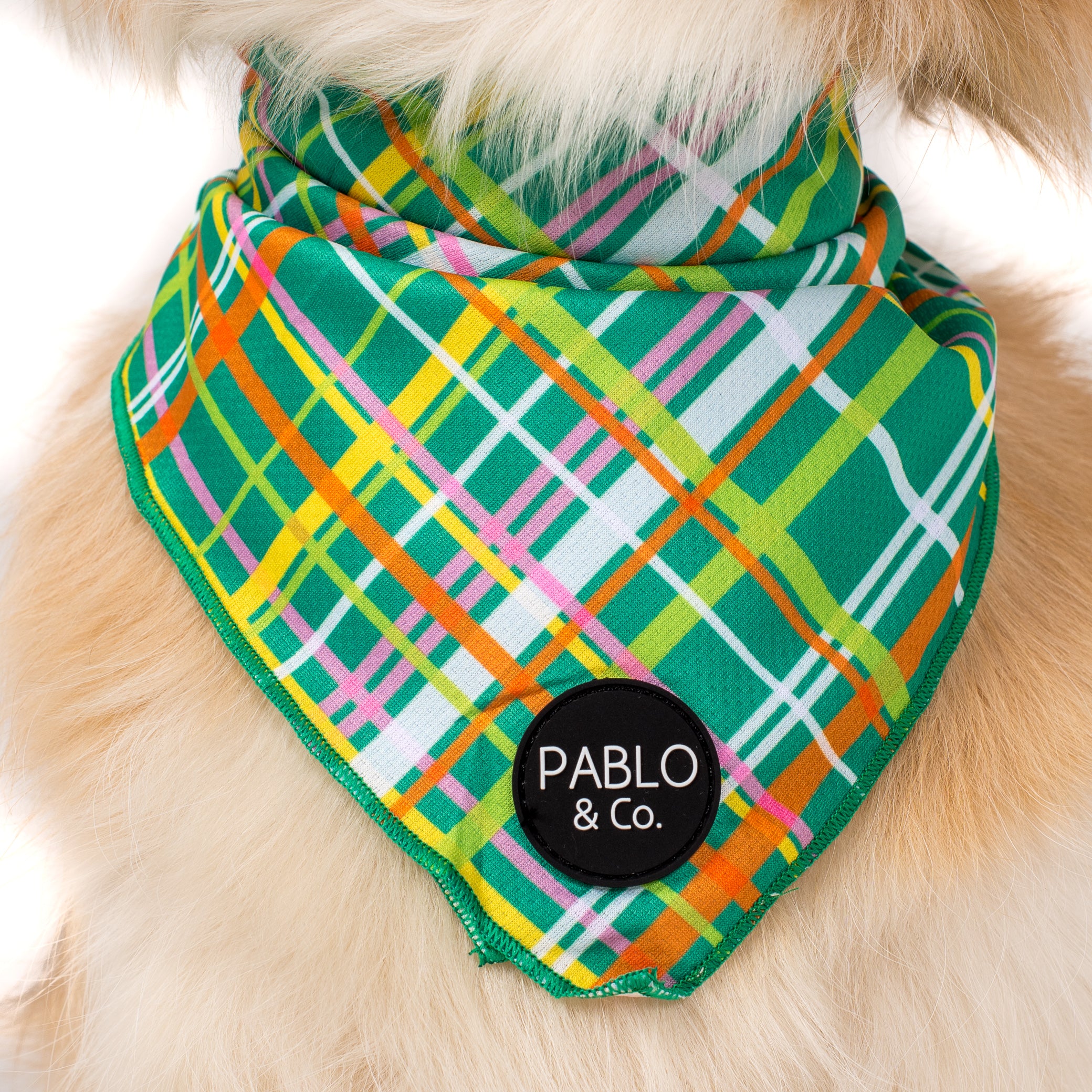 Groovy Grid - Dog Bandana - Image 2