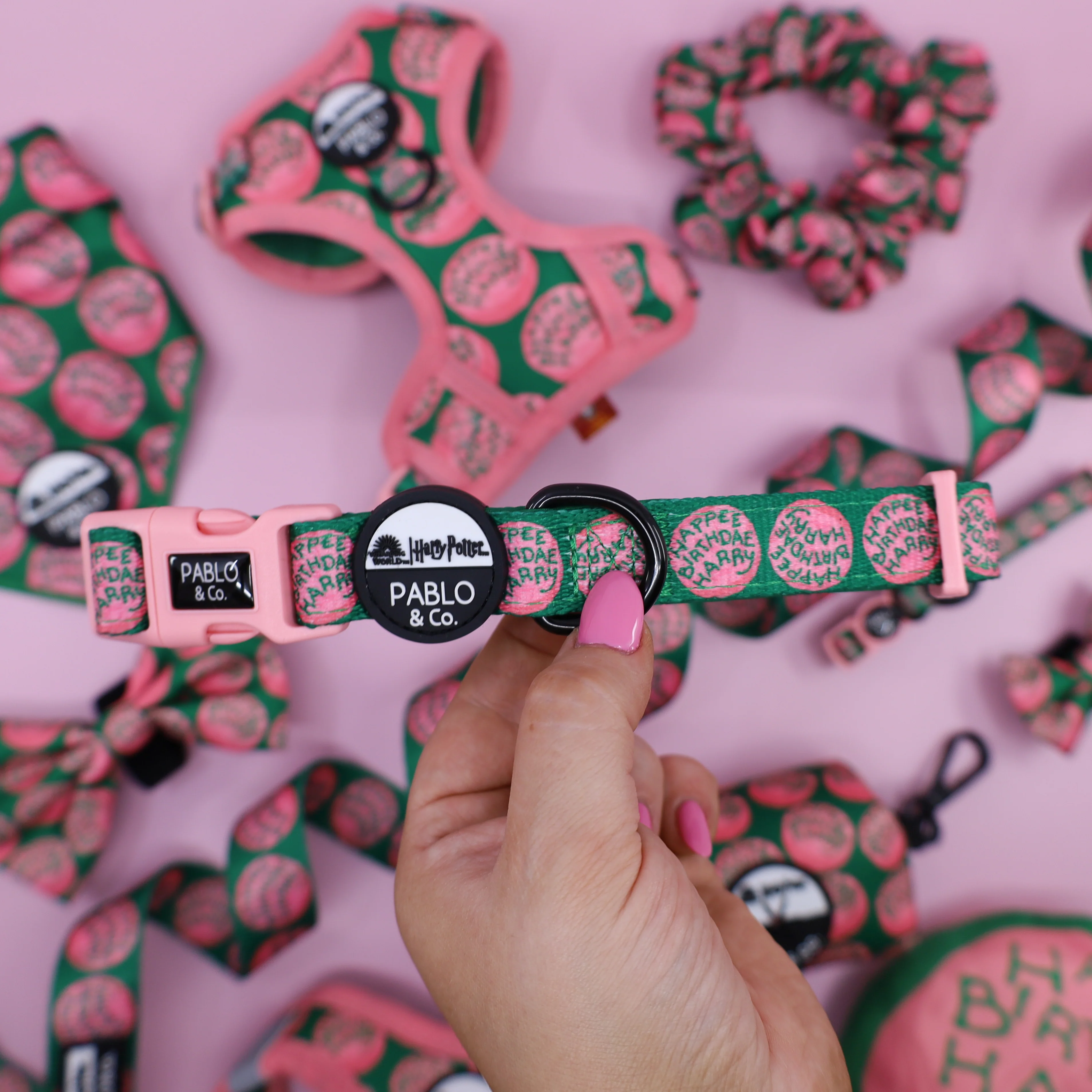Happee Birthdae Harry: Dog Collar - Image 3
