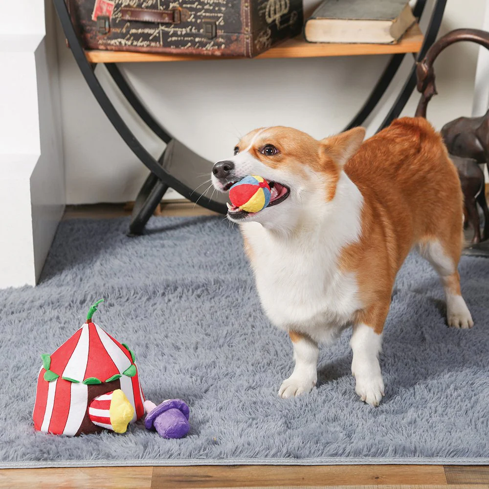Happy Circus Burrow Toy - Image 4