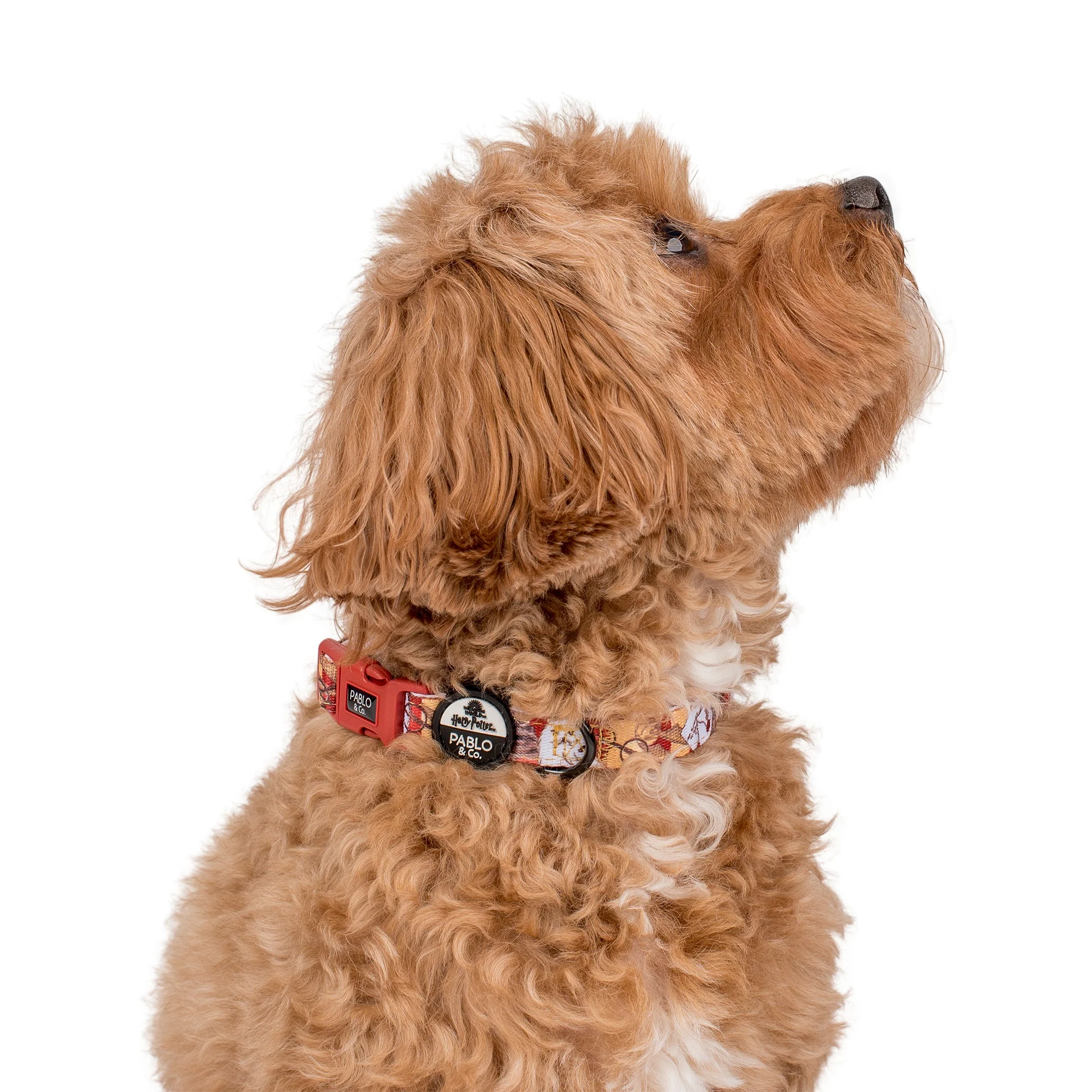 Harry Potter: Dog Collar - Image 3