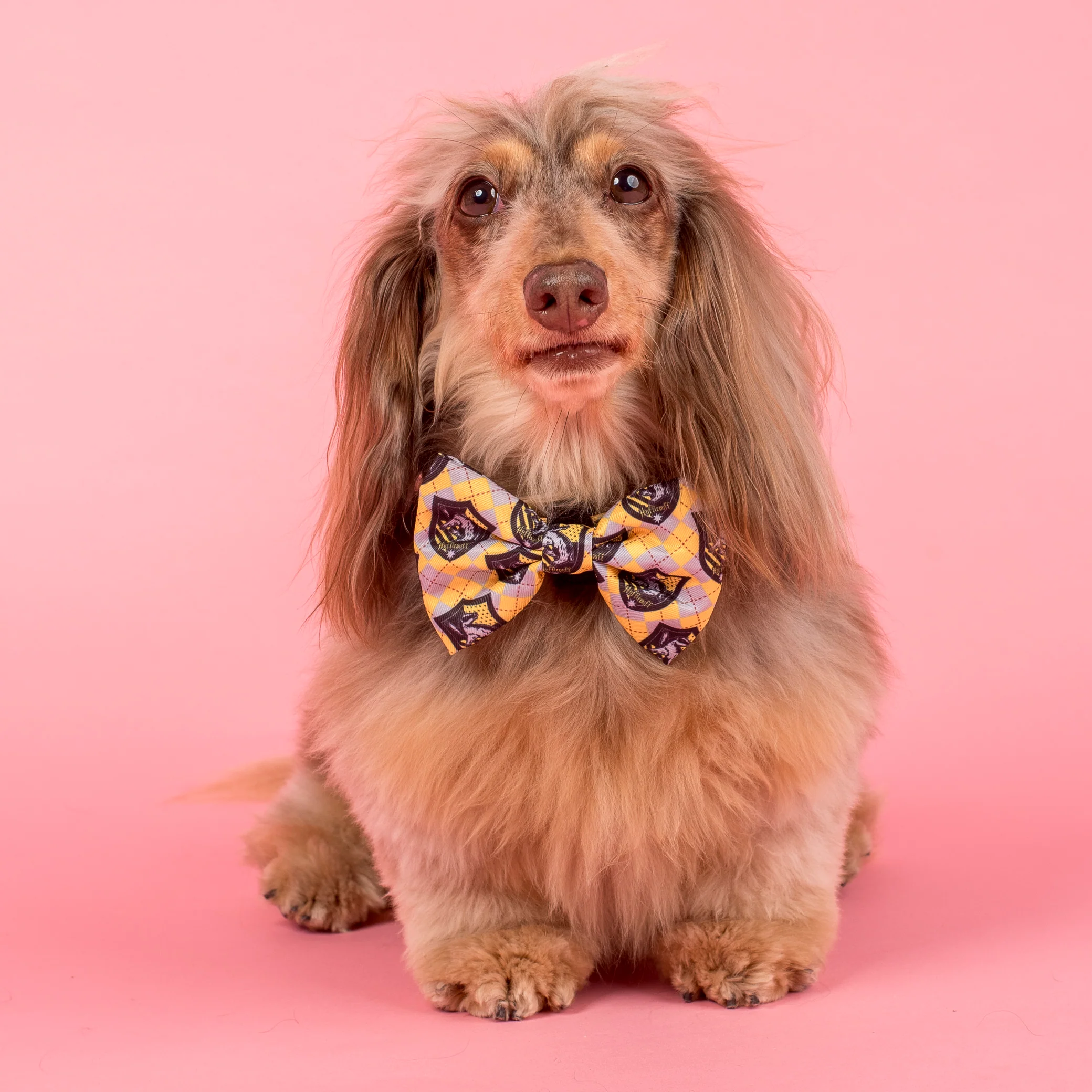 Harry Potter - Hufflepuff: Bow Tie - Image 2
