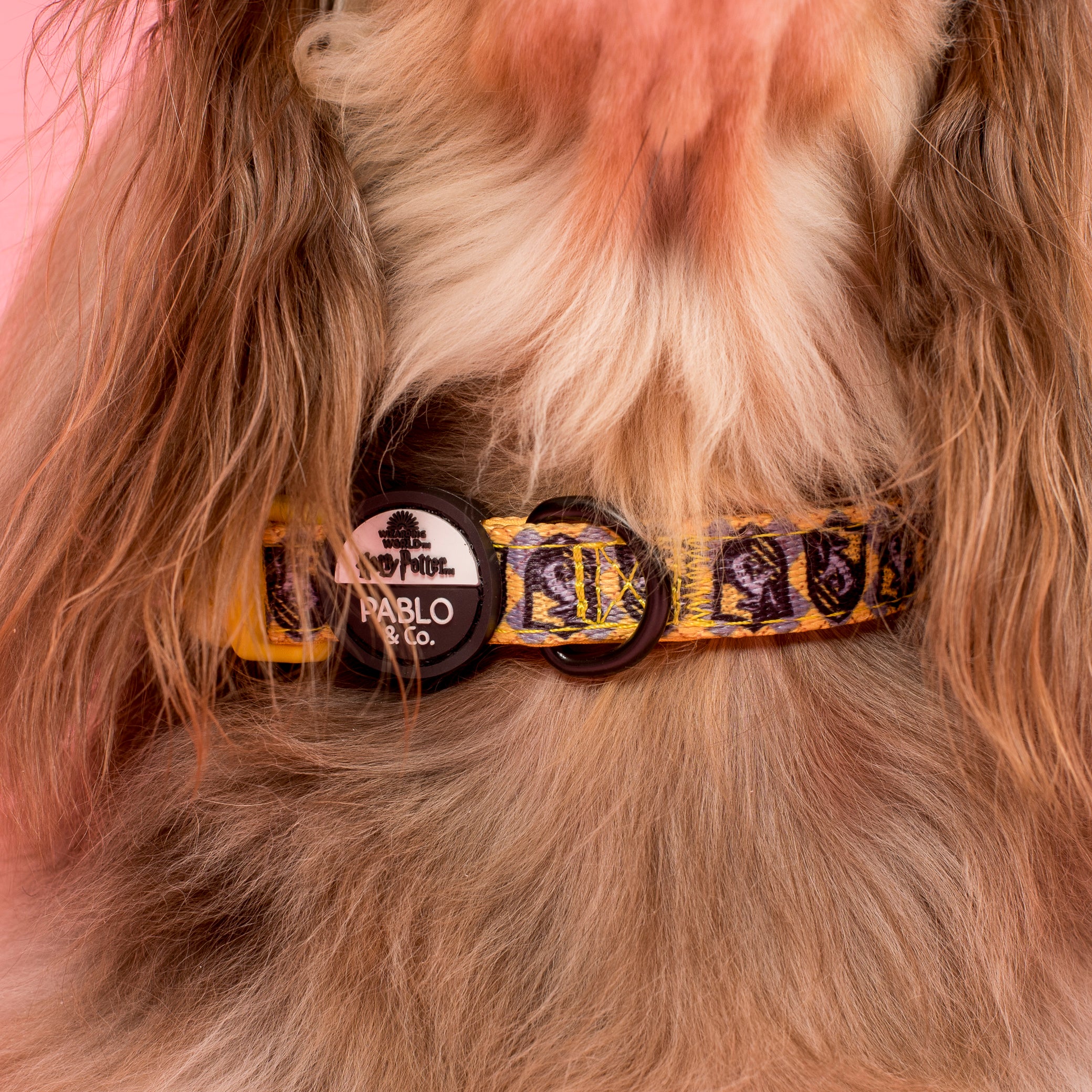 Harry Potter - Hufflepuff: Dog Collar - Image 2