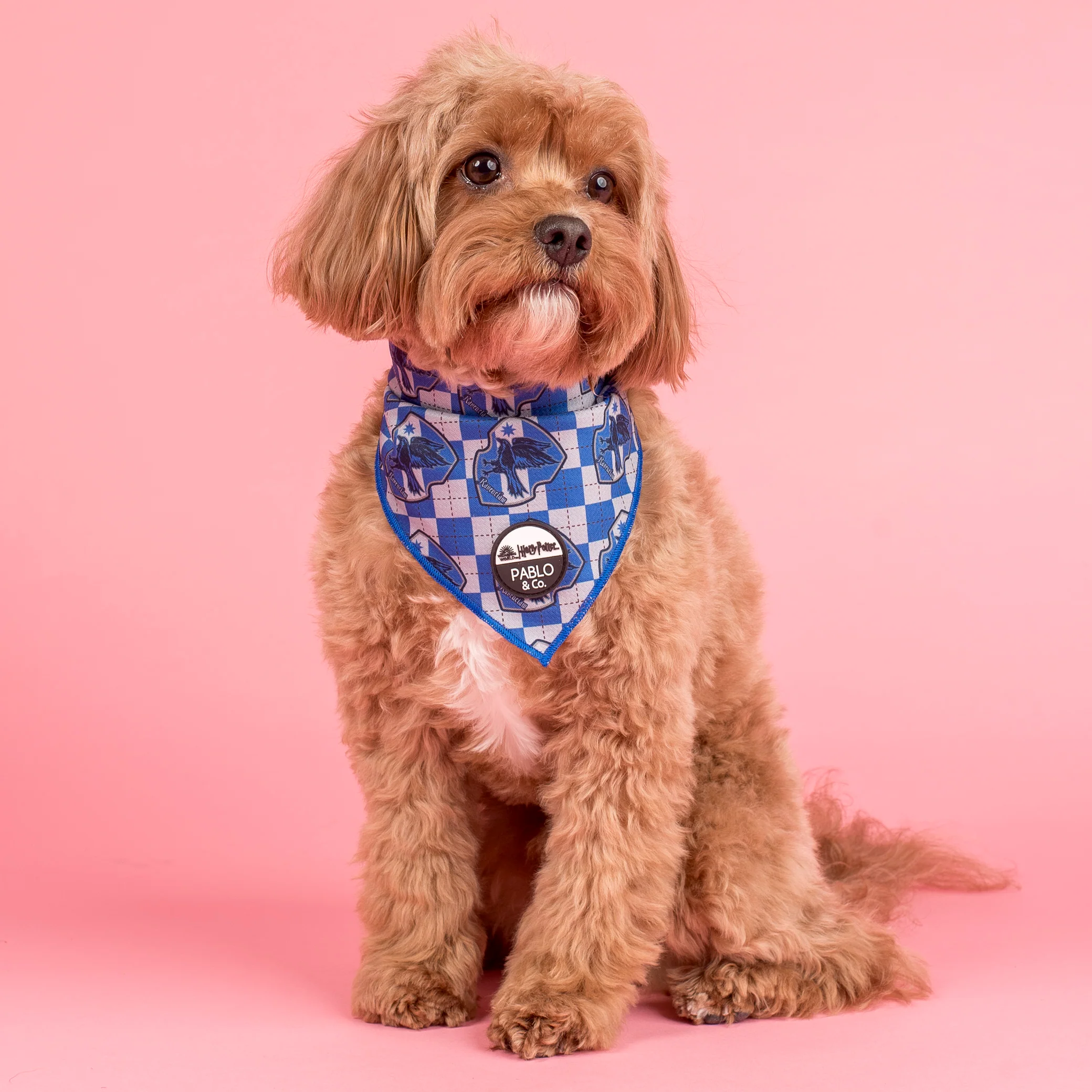 Harry Potter - Ravenclaw: Dog Bandana