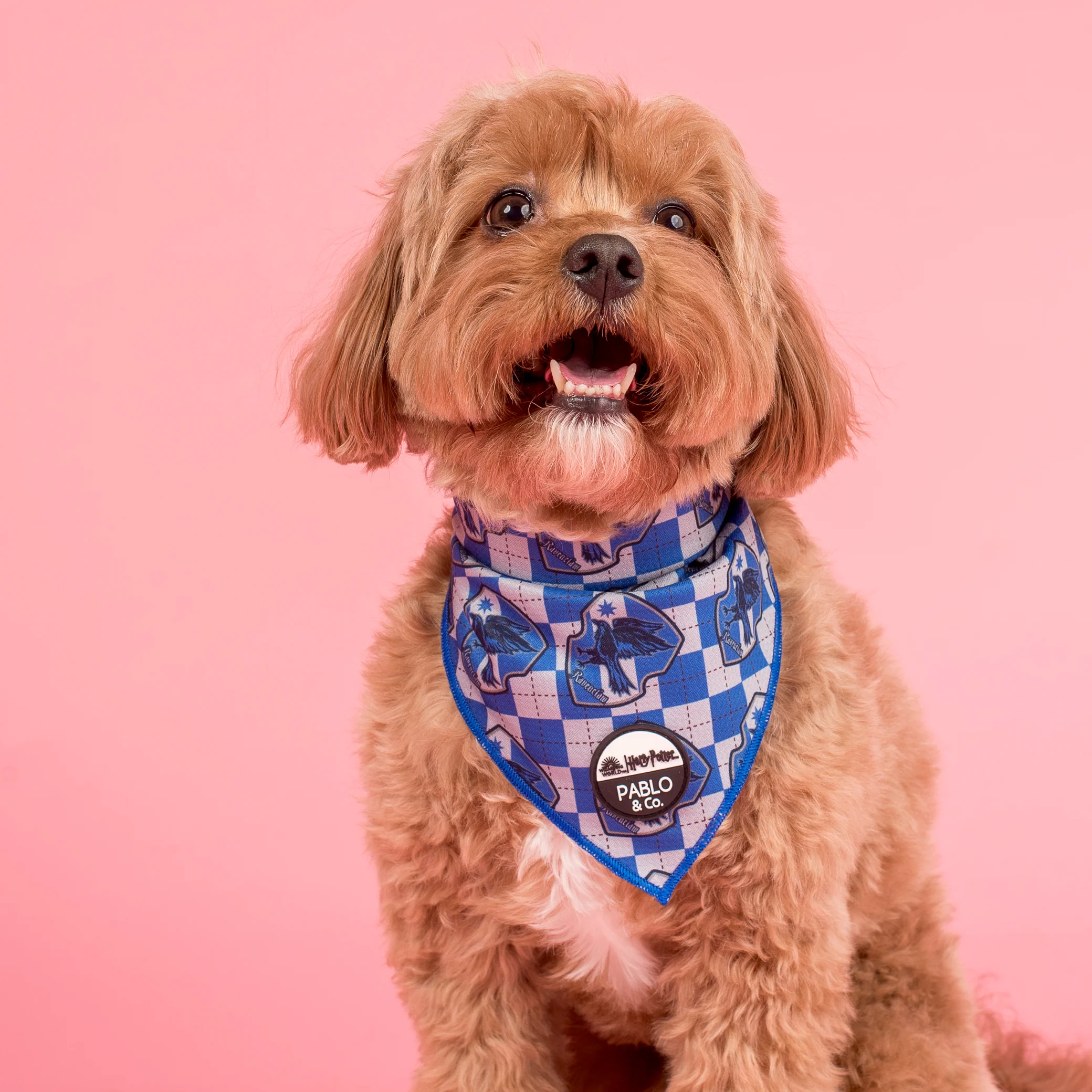 Harry Potter - Ravenclaw: Dog Bandana - Image 2