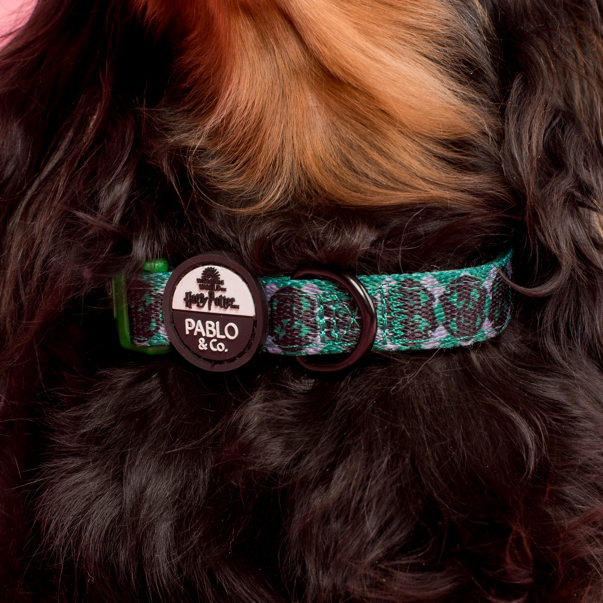 Harry Potter - Slytherin: Dog Collar - Image 2